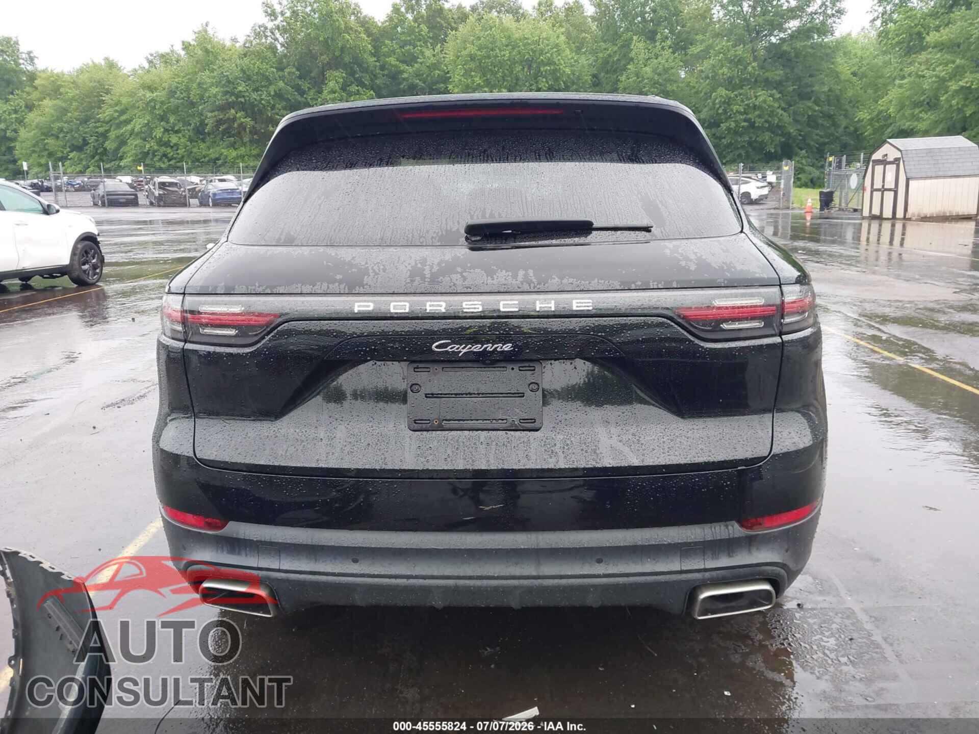 PORSCHE CAYENNE 2019 - WP1AA2AY0KDA17036