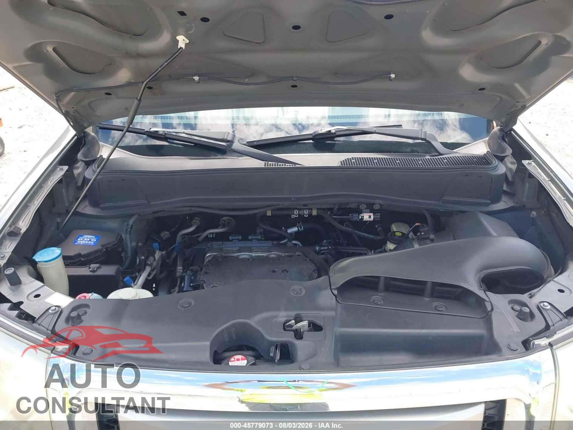 HONDA PILOT 2009 - 5FNYF38639B024206