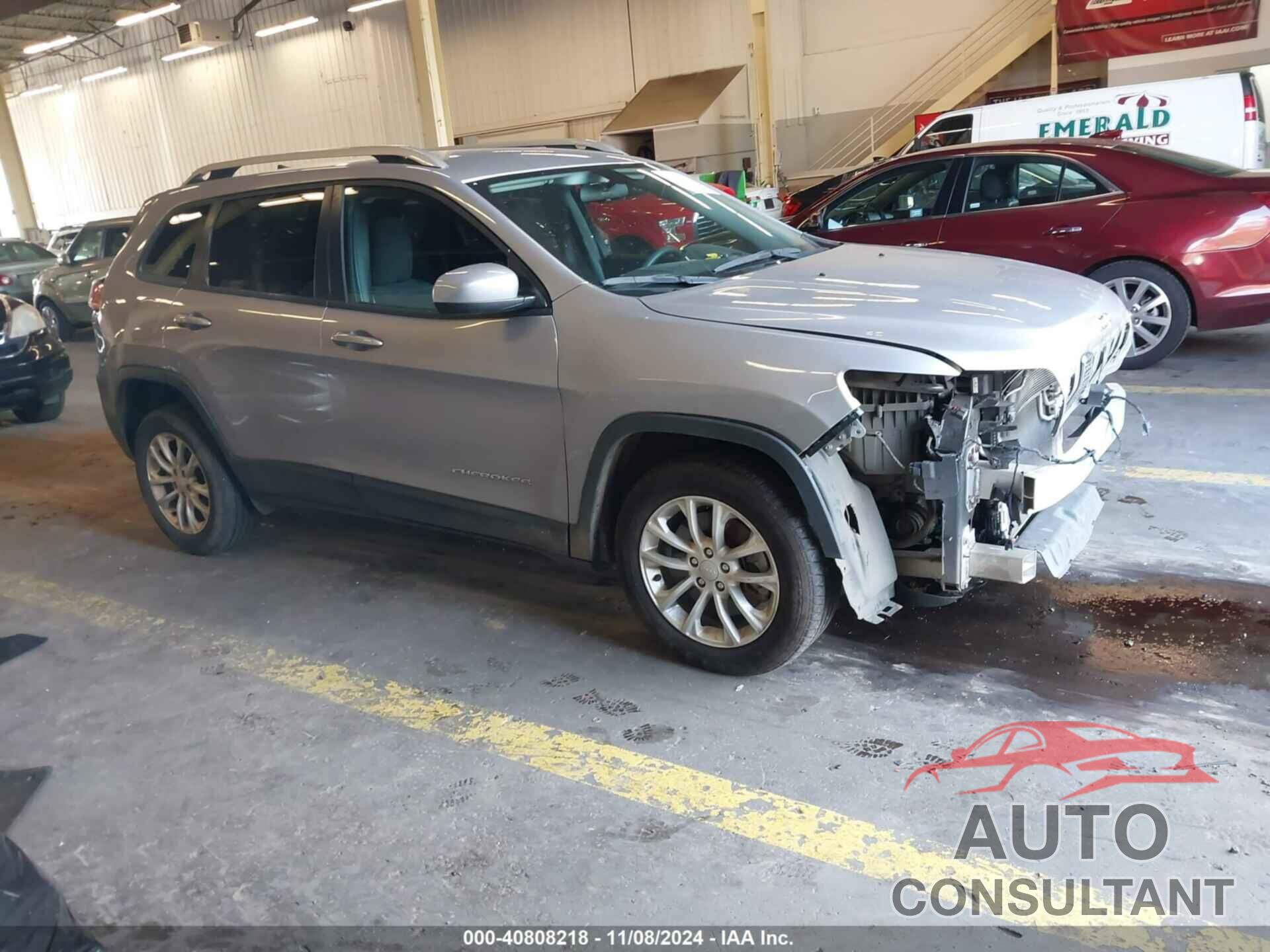 JEEP CHEROKEE 2020 - 1C4PJLCB2LD653808