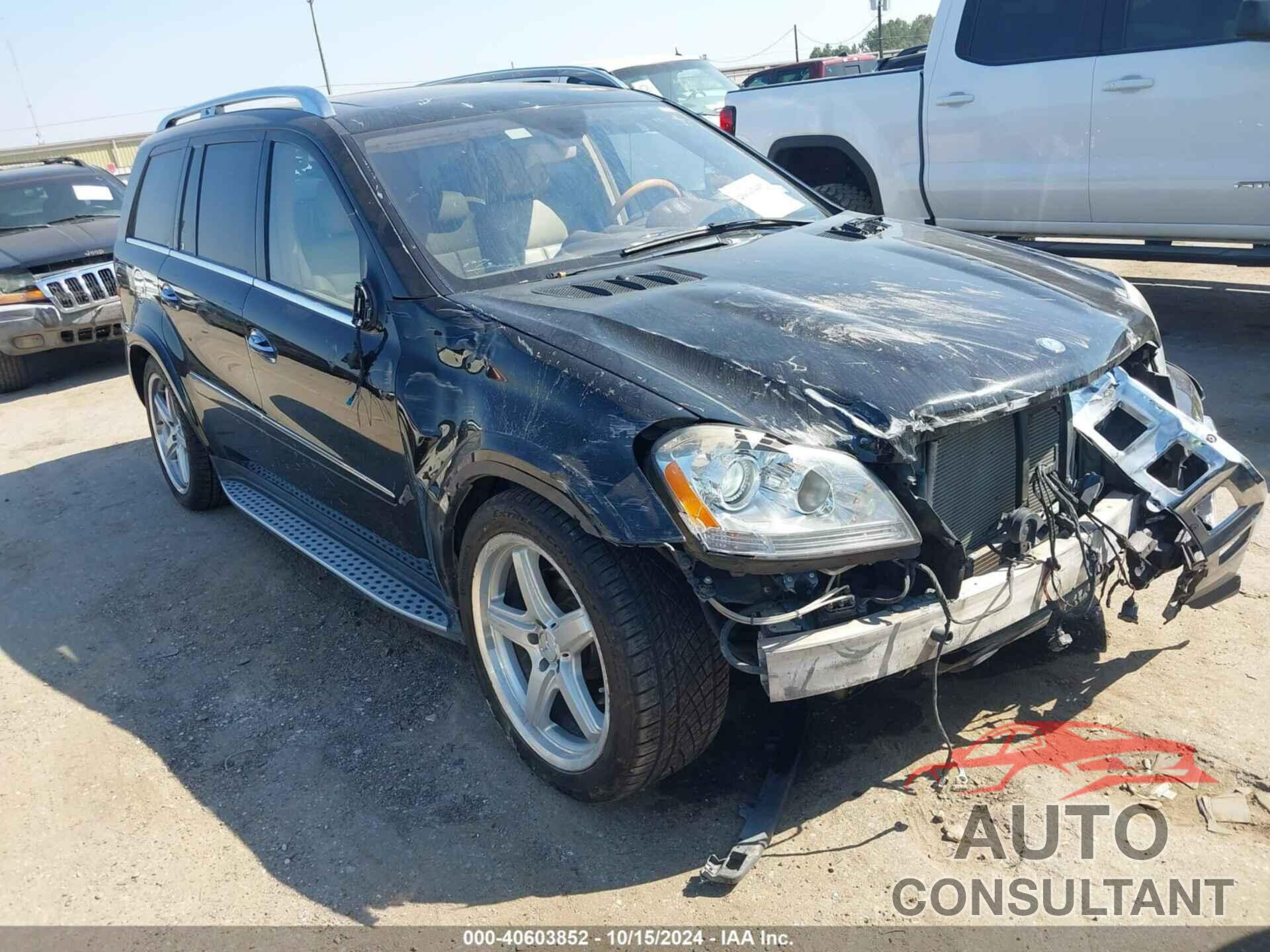 MERCEDES-BENZ GL 550 2009 - 4JGBF86E59A498918