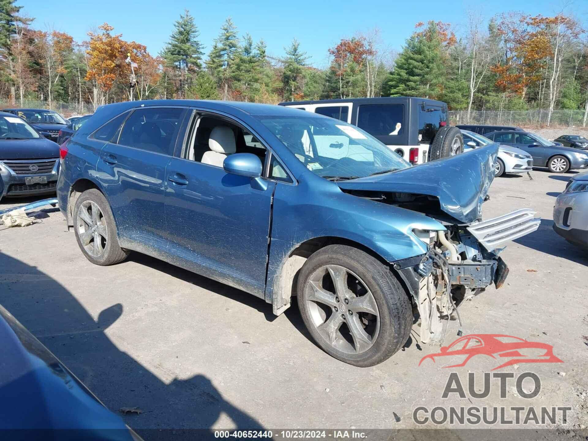 TOYOTA VENZA 2009 - 4T3BK11A49U008885