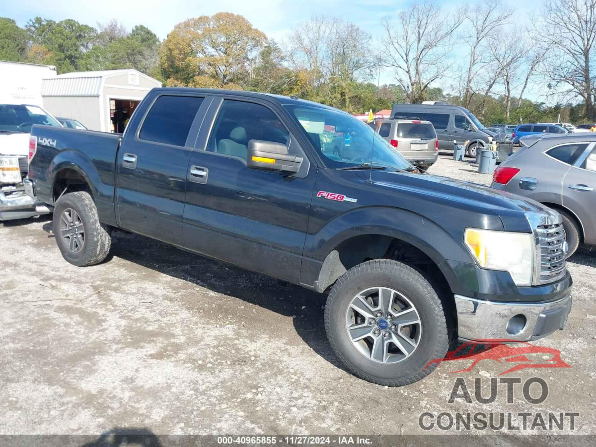 FORD F-150 2010 - 1FTEW1C86AFD38741