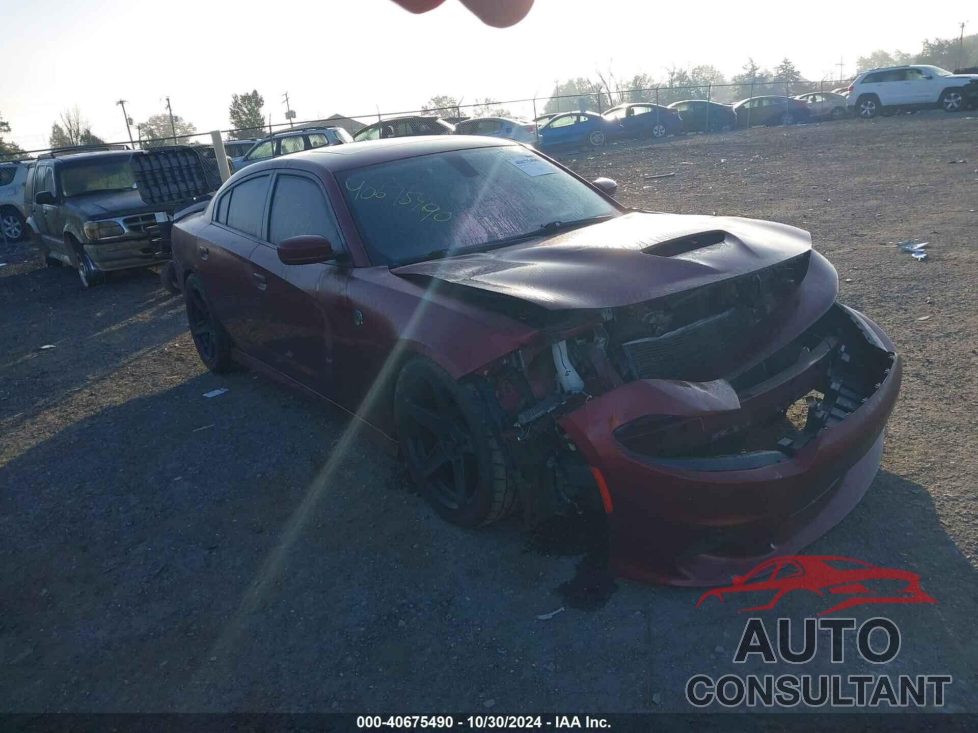 DODGE CHARGER 2017 - 2C3CDXCT0HH535499