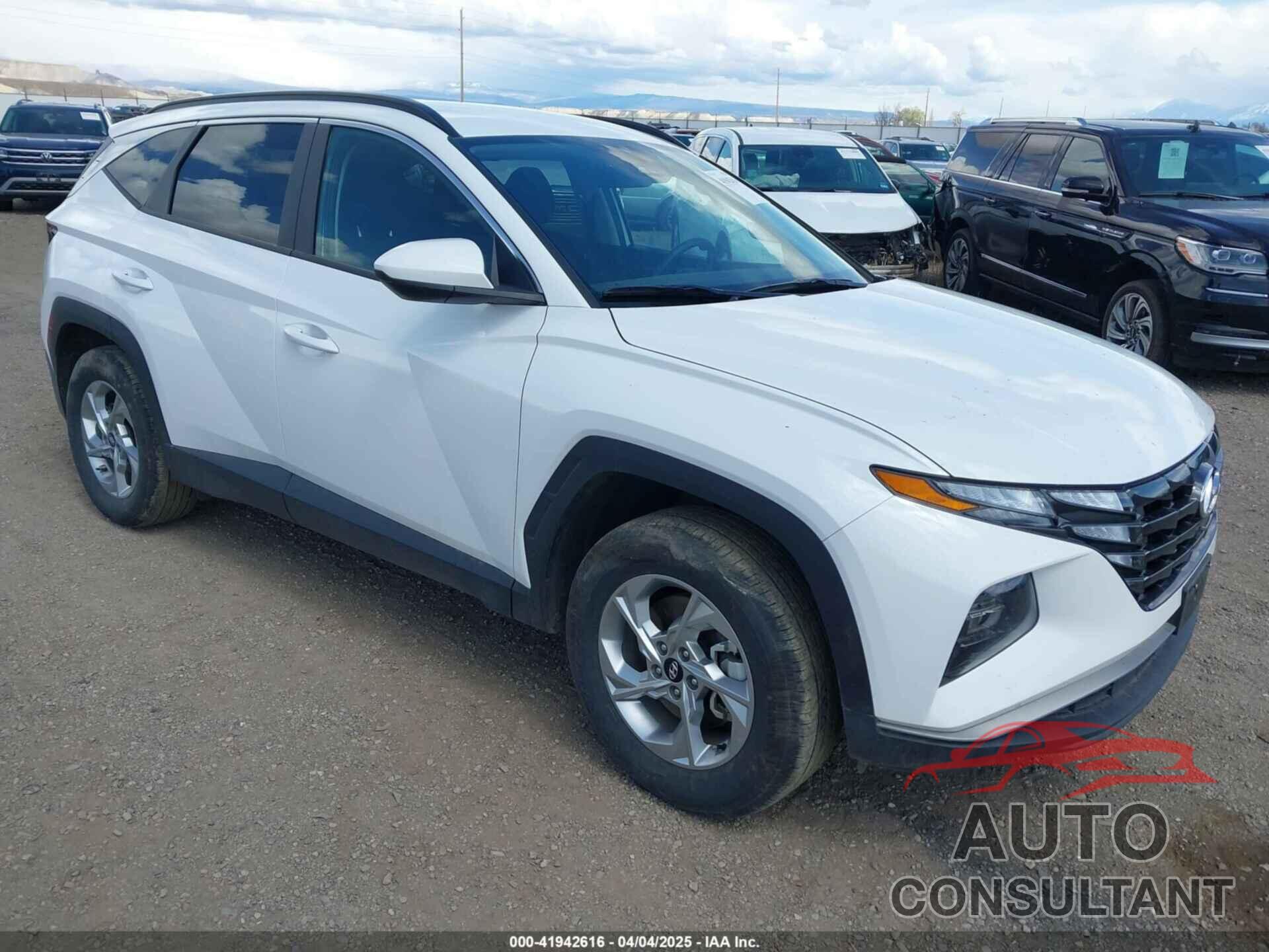 HYUNDAI TUCSON 2024 - 5NMJBCDE6RH421658