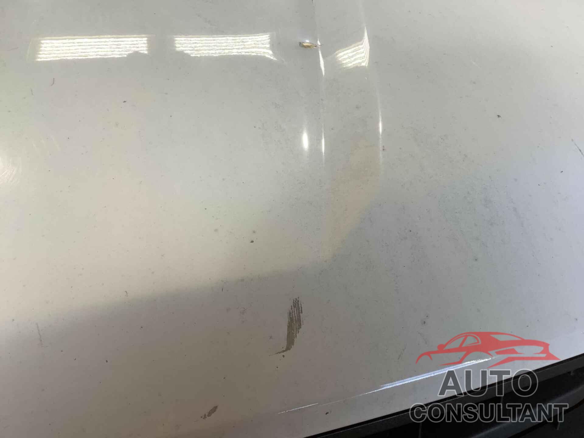 FORD F150 2019 - 1FTEX1C59KKC27063