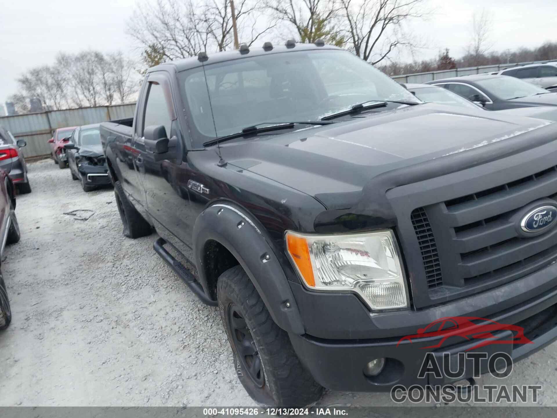 FORD F-150 2010 - 1FTPF1EV9AKB36138