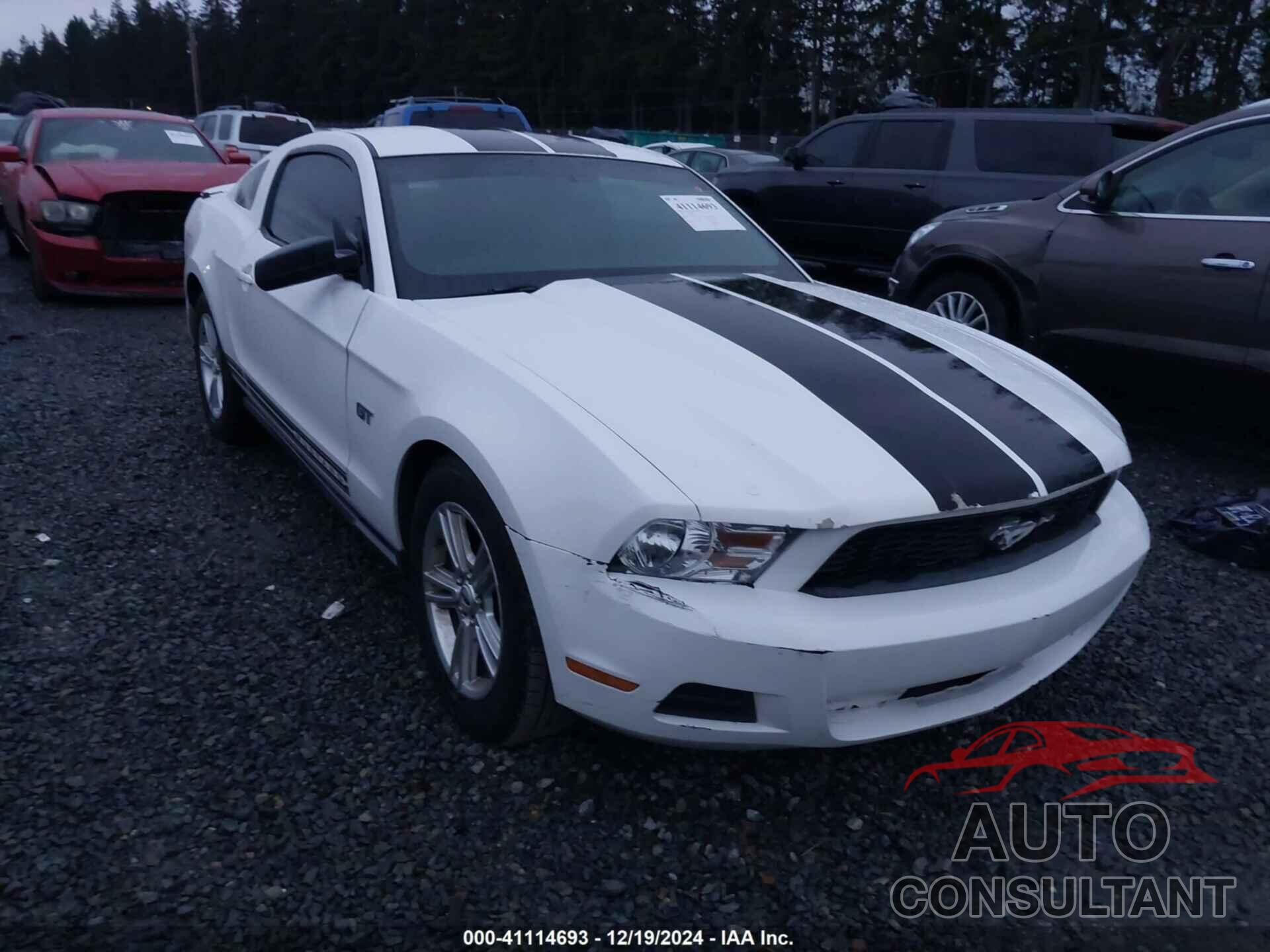 FORD MUSTANG 2011 - 1ZVBP8AM7B5119817