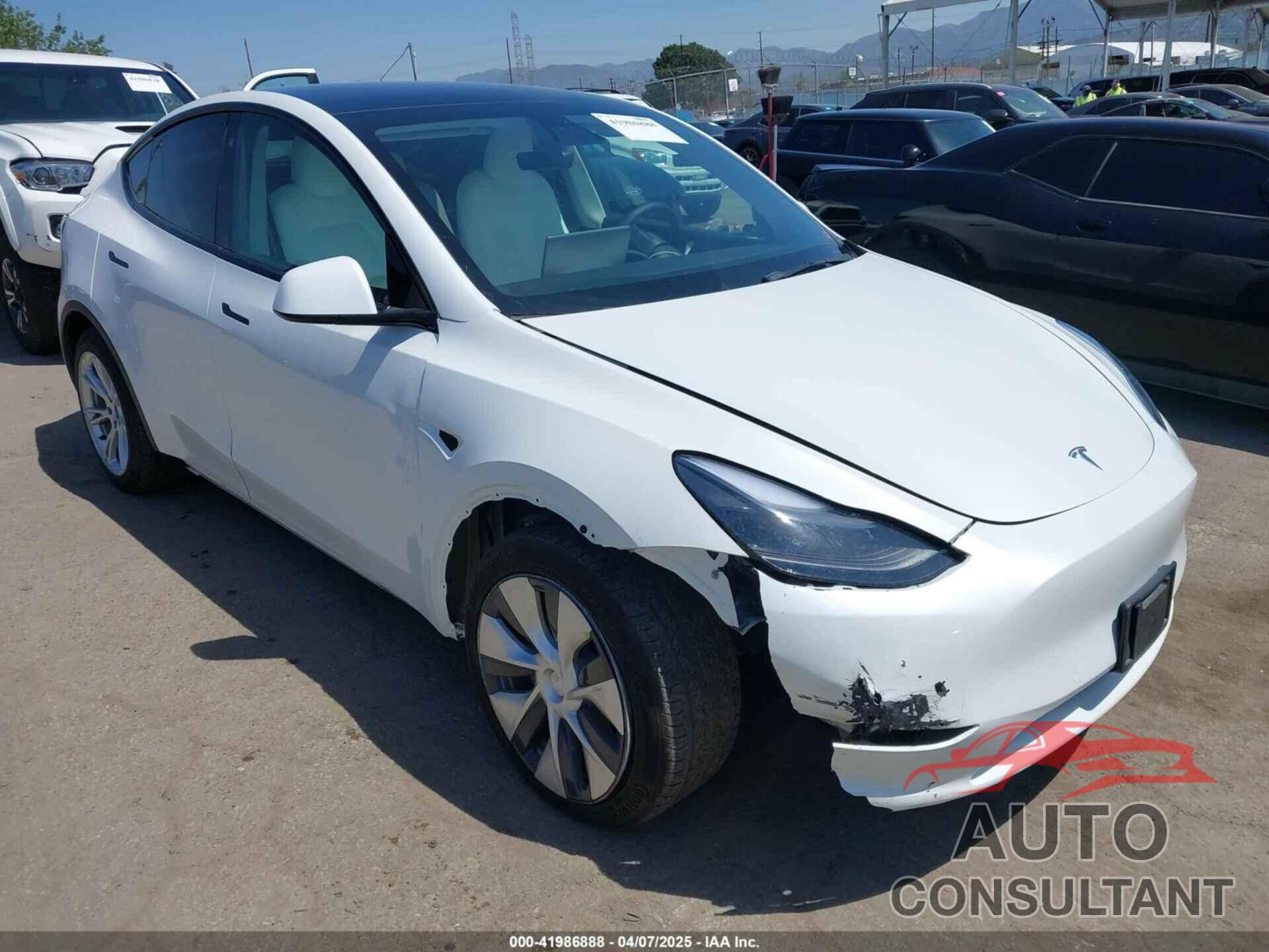 TESLA MODEL Y 2021 - 5YJYGDEE7MF279223