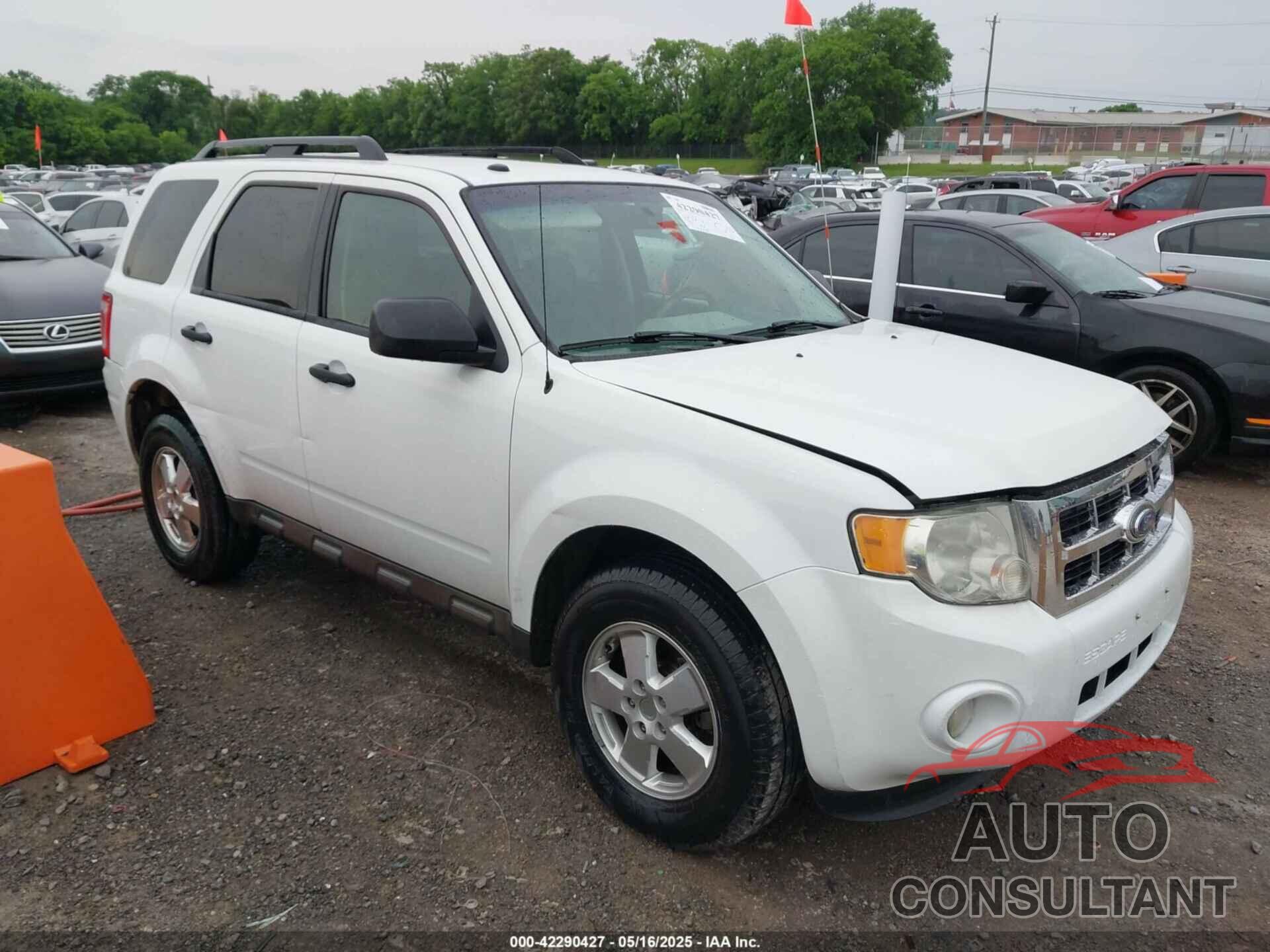 FORD ESCAPE 2011 - 1FMCU9D71BKB98961
