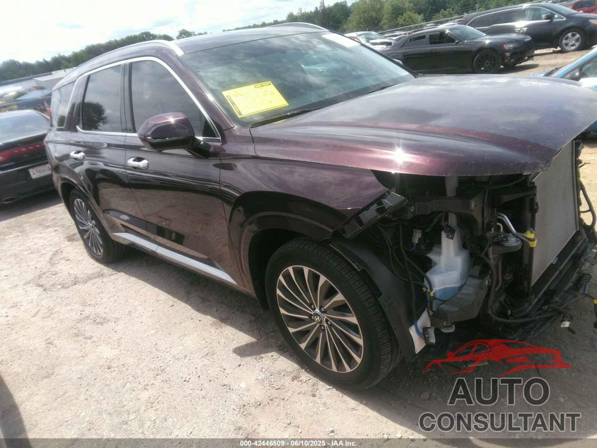 HYUNDAI PALISADE 2023 - KM8R7DGE4PU600384