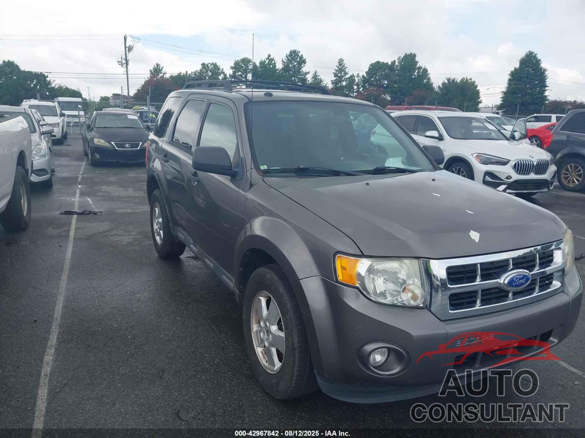 FORD ESCAPE 2011 - 1FMCU0DGXBKC00539