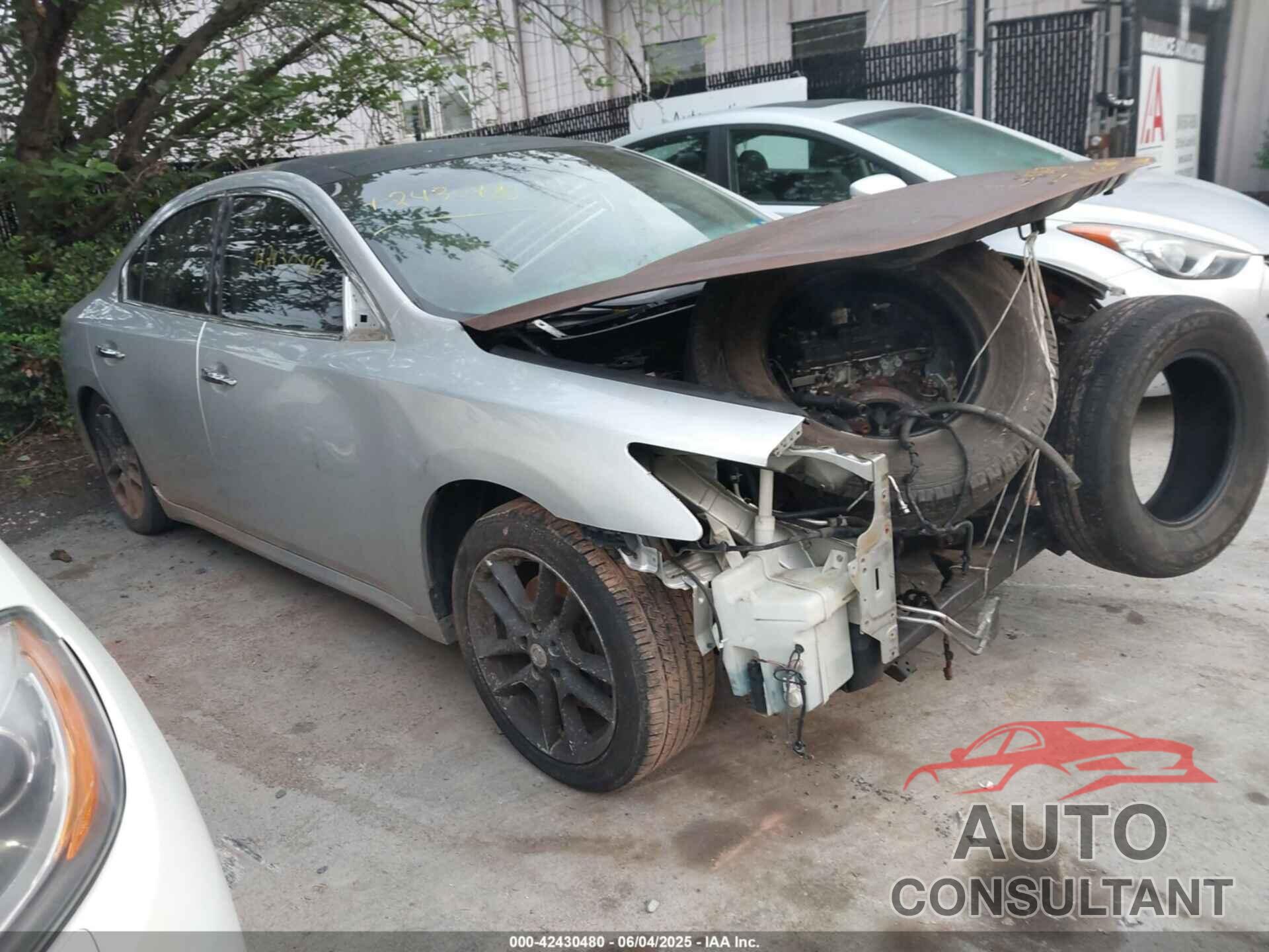 NISSAN MAXIMA 2009 - 1N4AA51E49C808071