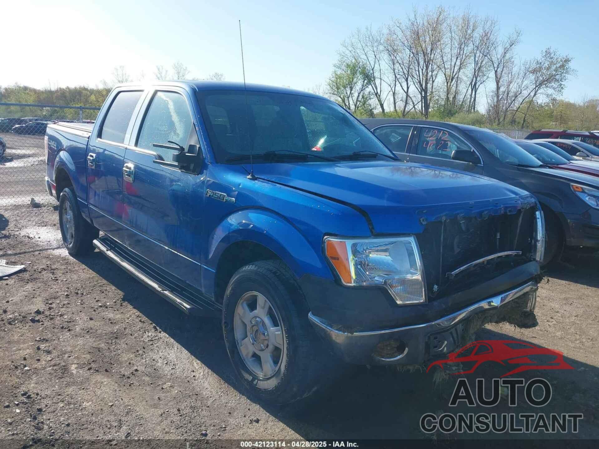 FORD F-150 2009 - 1FTPW14V59KC52255