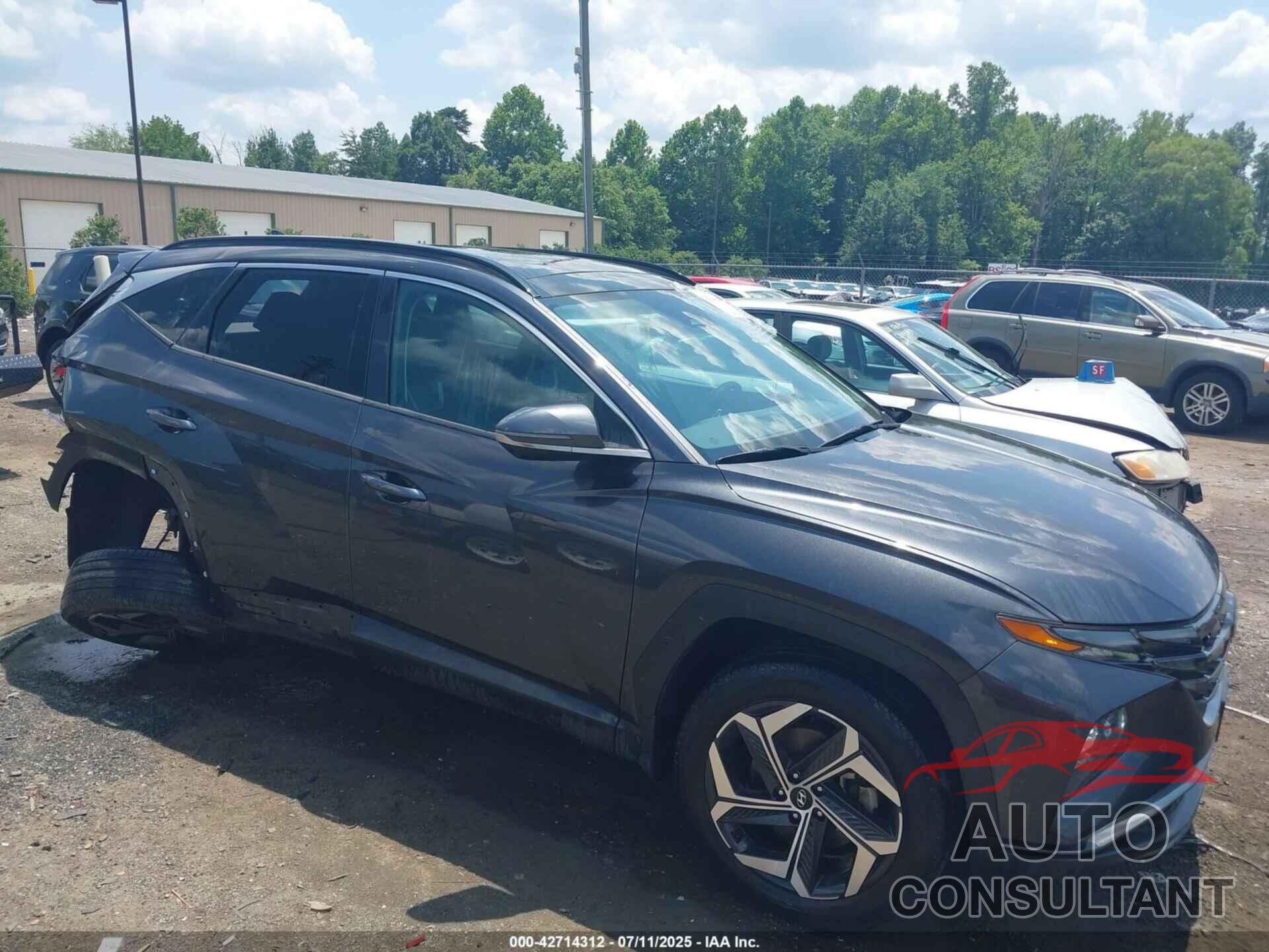 HYUNDAI TUCSON 2022 - 5NMJECAE2NH108435