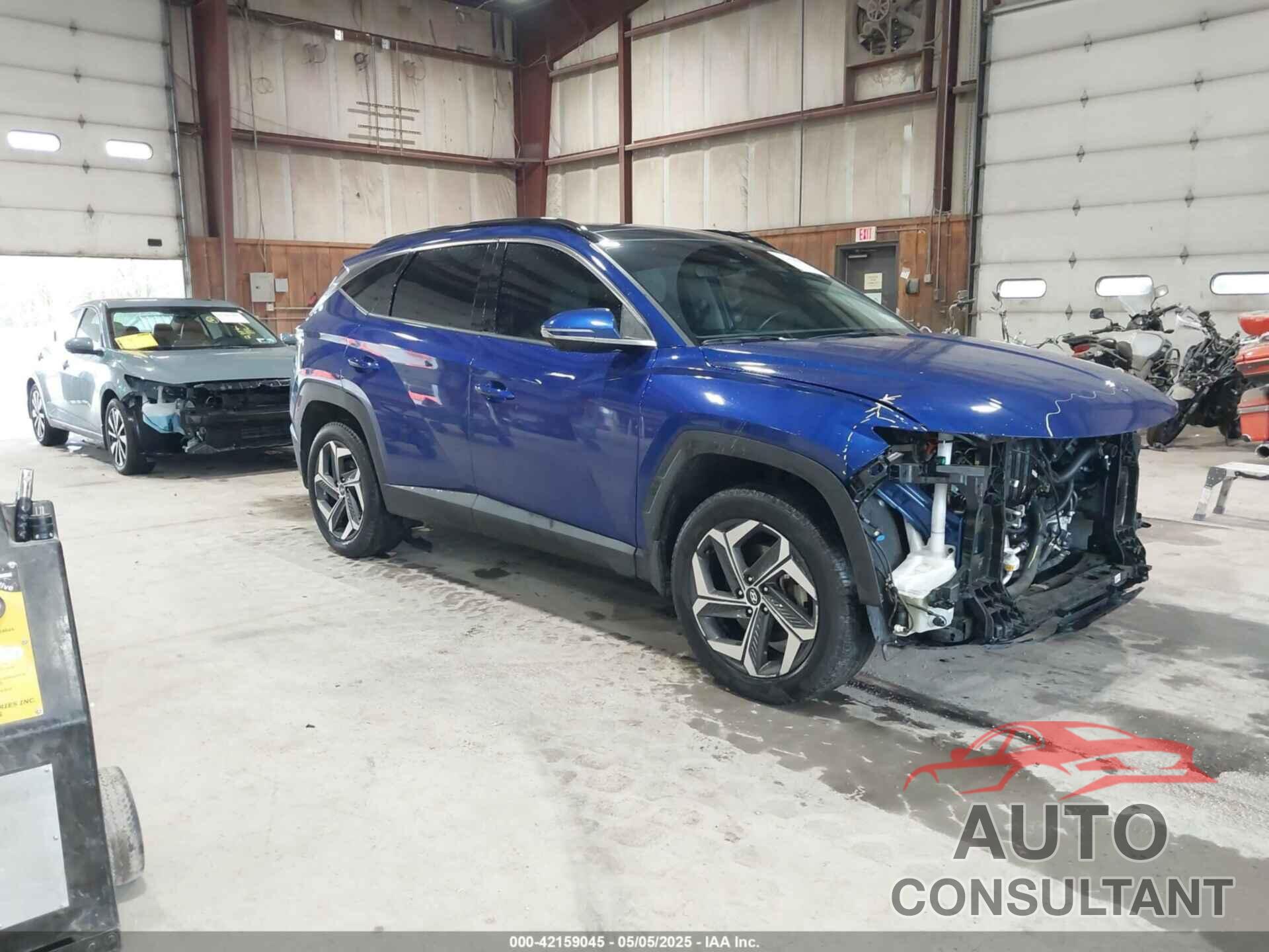 HYUNDAI TUCSON 2024 - 5NMJECDE9RH339124