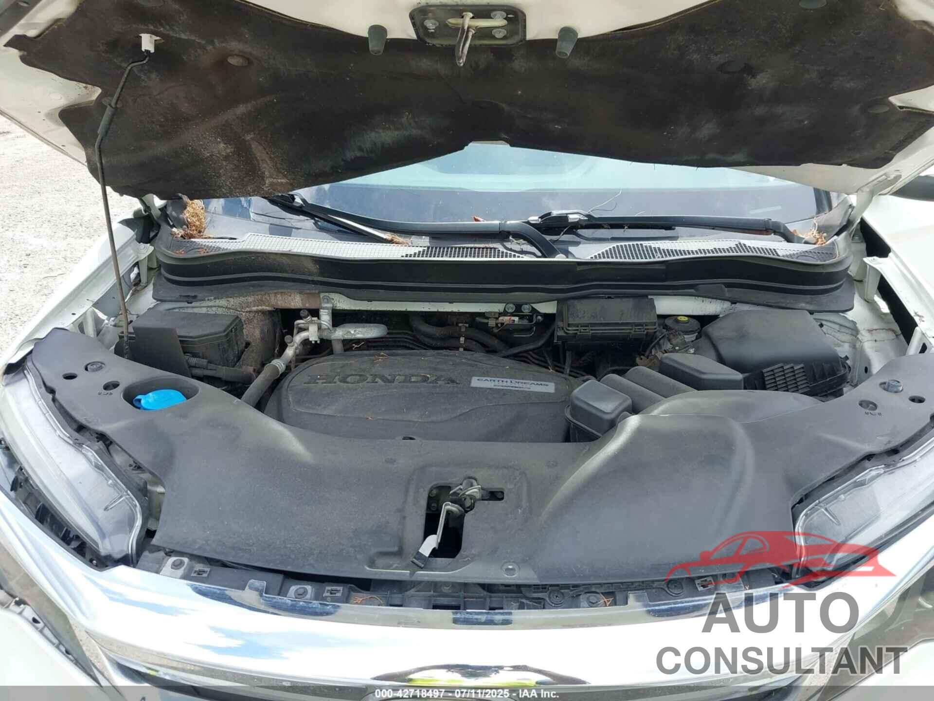 HONDA PILOT 2019 - 5FNYF6H49KB067552