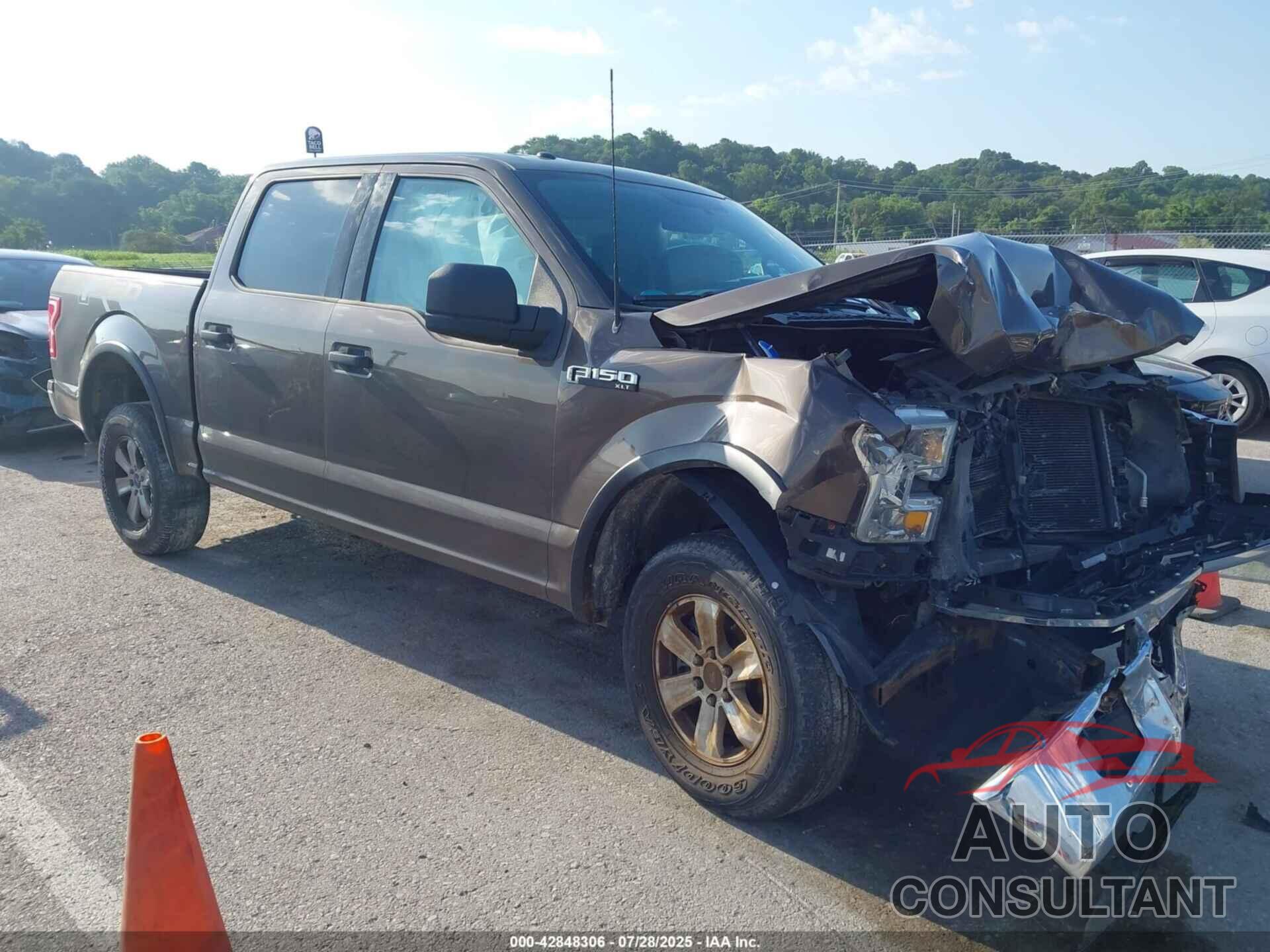 FORD F-150 2015 - 1FTEW1E87FFB84545