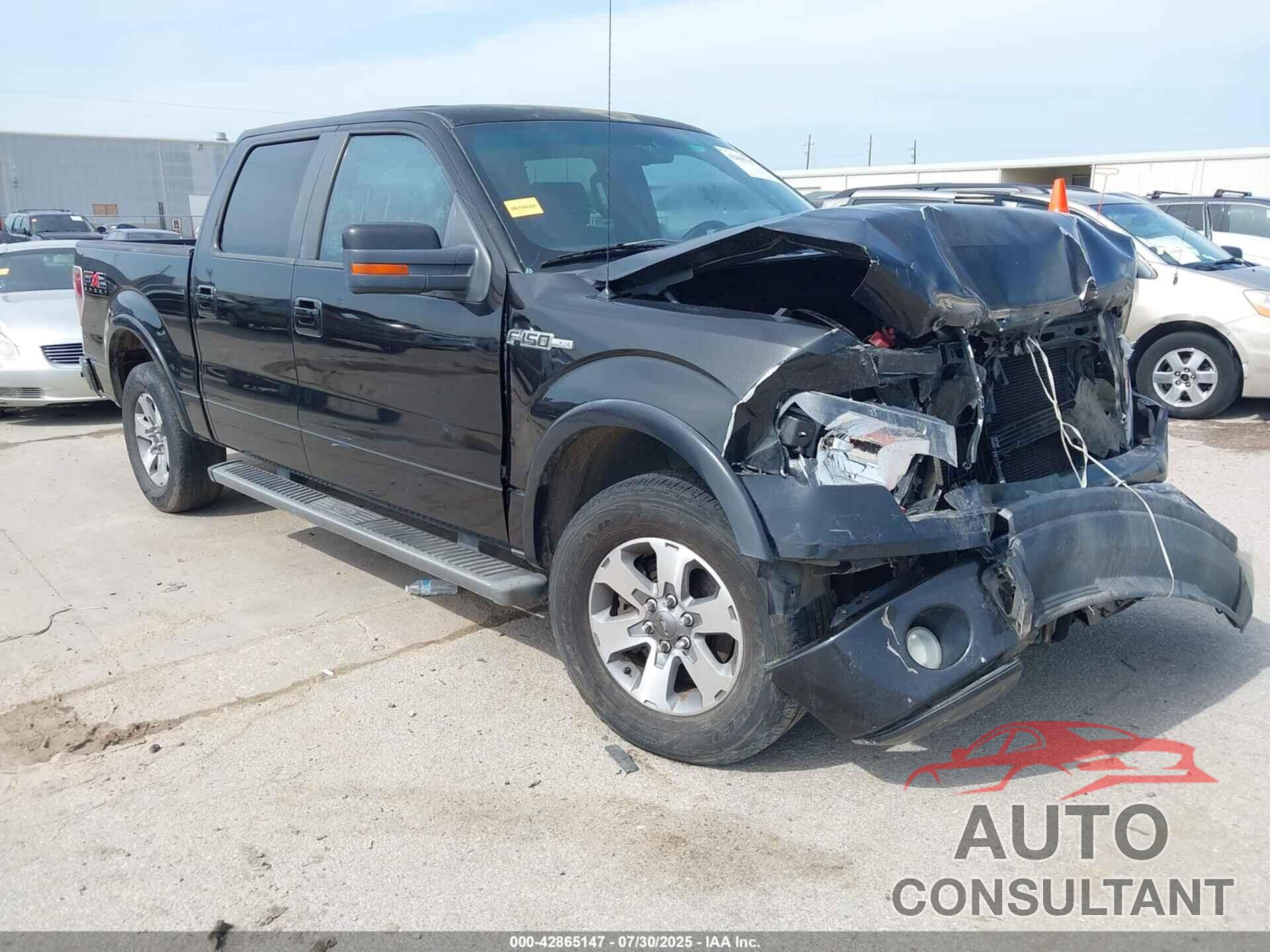 FORD F-150 2010 - 1FTEW1C82AKC01643