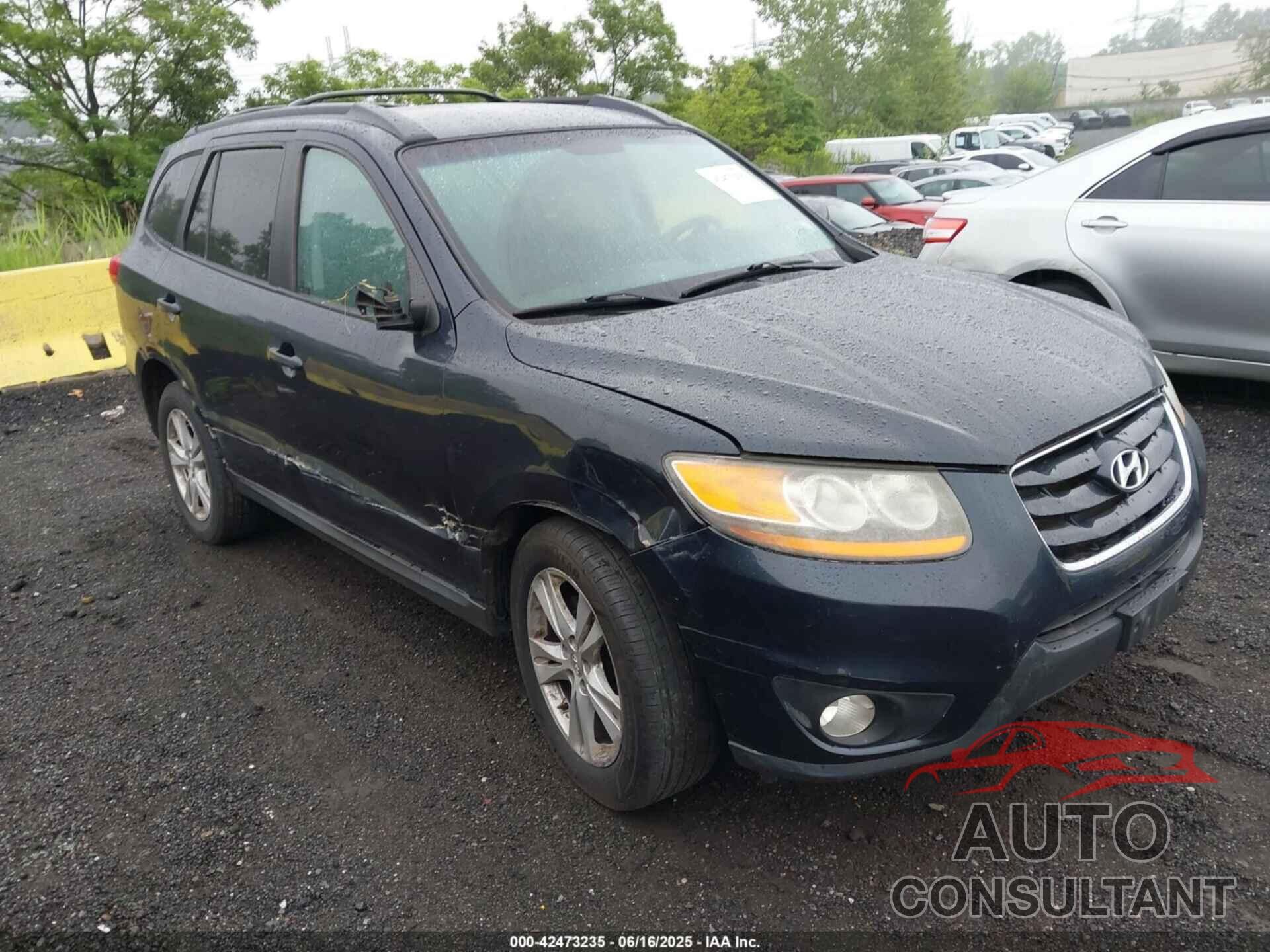 HYUNDAI SANTA FE 2010 - 5NMSHDAG5AH344946