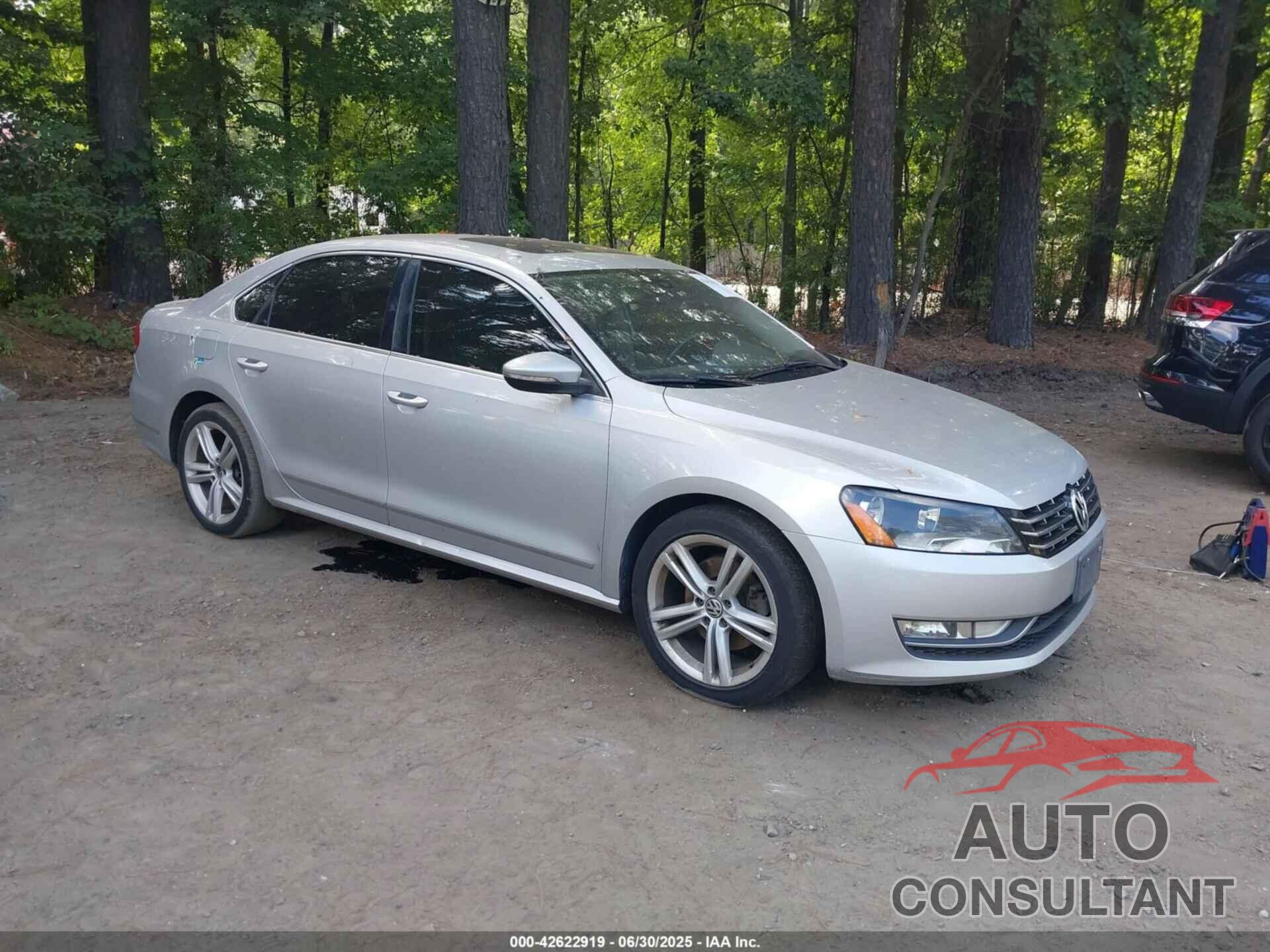 VOLKSWAGEN PASSAT 2013 - 1VWCN7A33DC006523