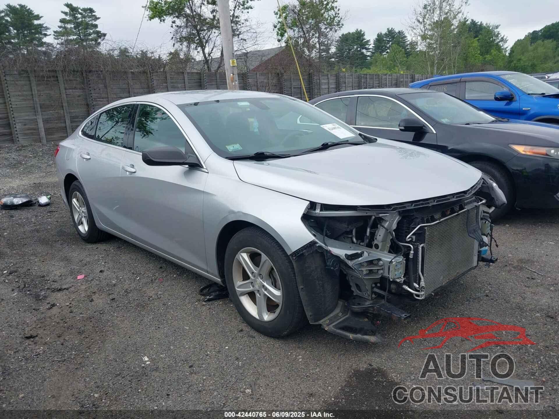 CHEVROLET MALIBU 2019 - 1G1ZB5ST6KF123168