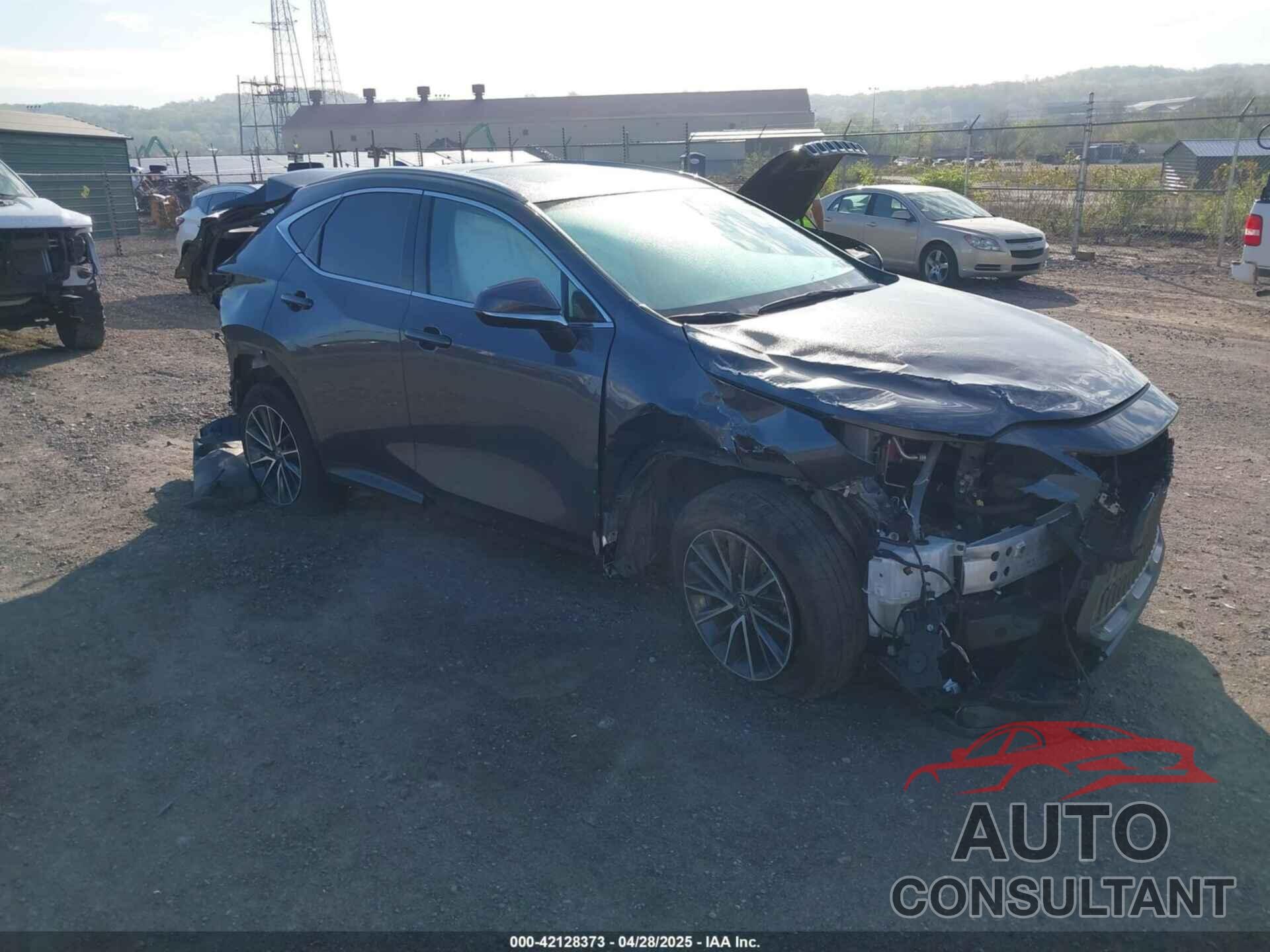 LEXUS NX 350H 2024 - JTJGKCEZ9R5015241