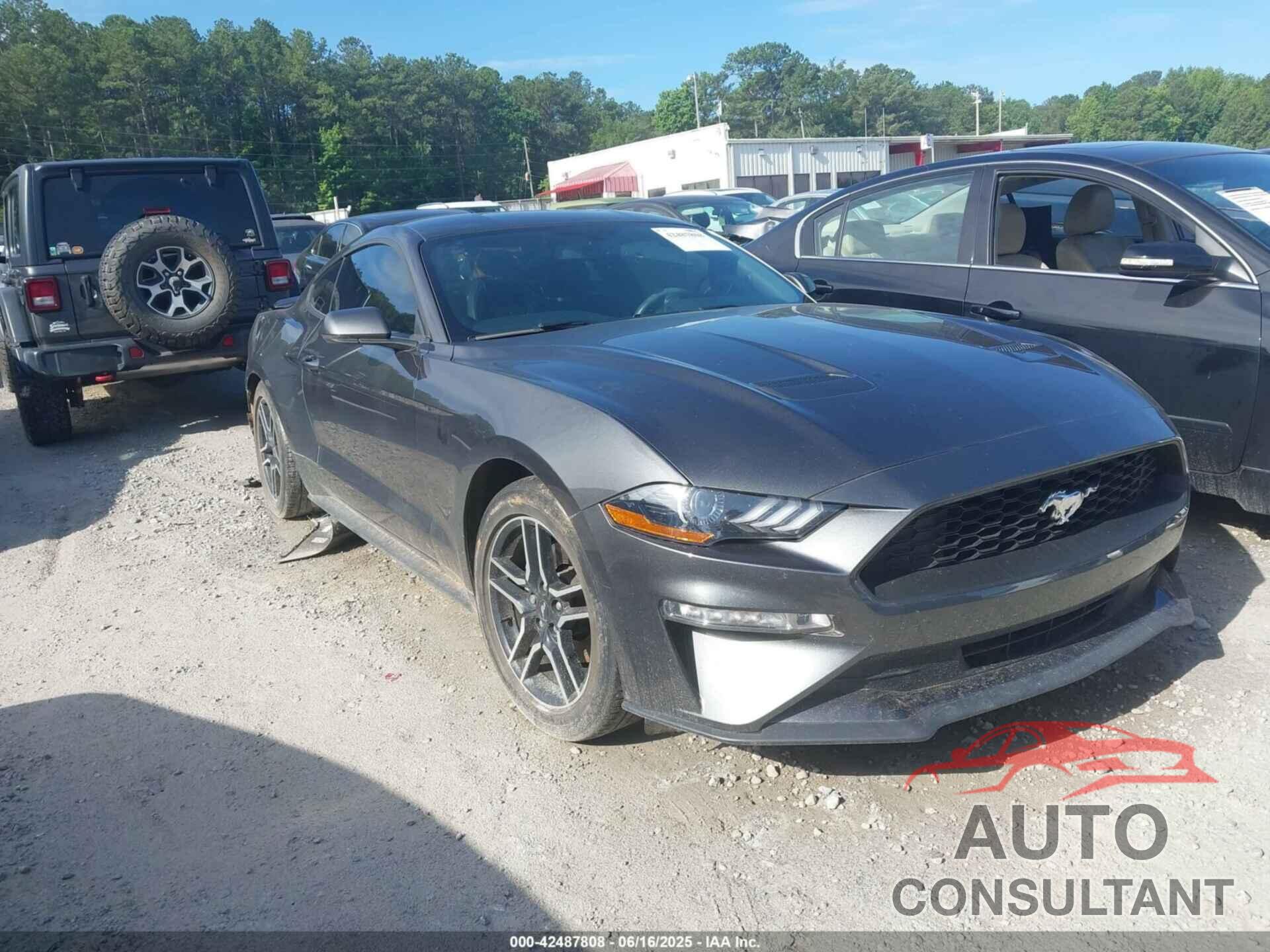 FORD MUSTANG 2019 - 1FA6P8TH5K5116389