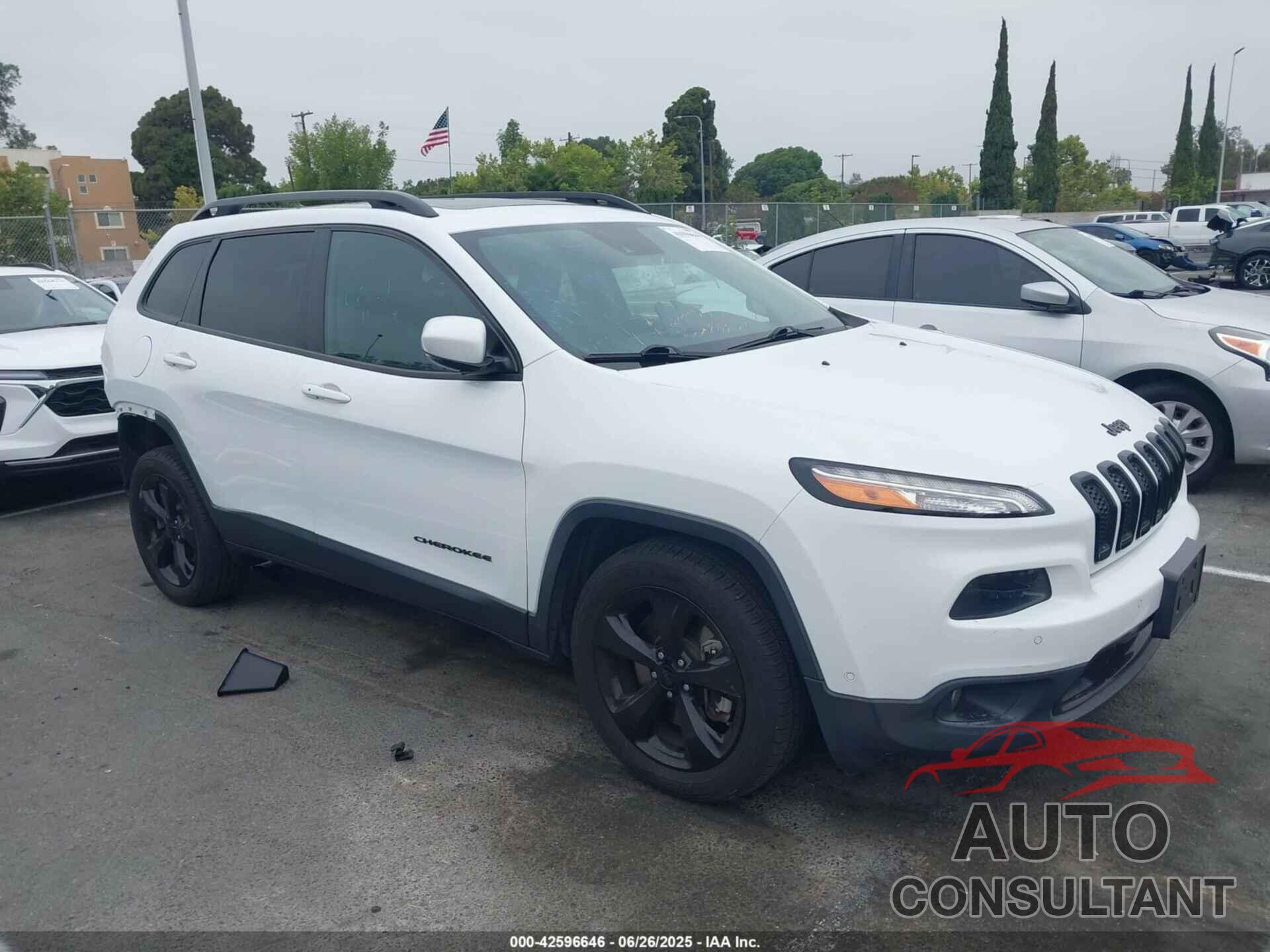 JEEP CHEROKEE 2016 - 1C4PJLDS2GW363299