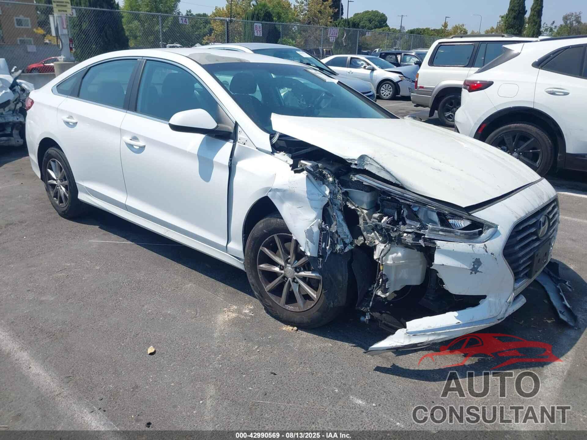 HYUNDAI SONATA 2019 - 5NPE24AFXKH780508