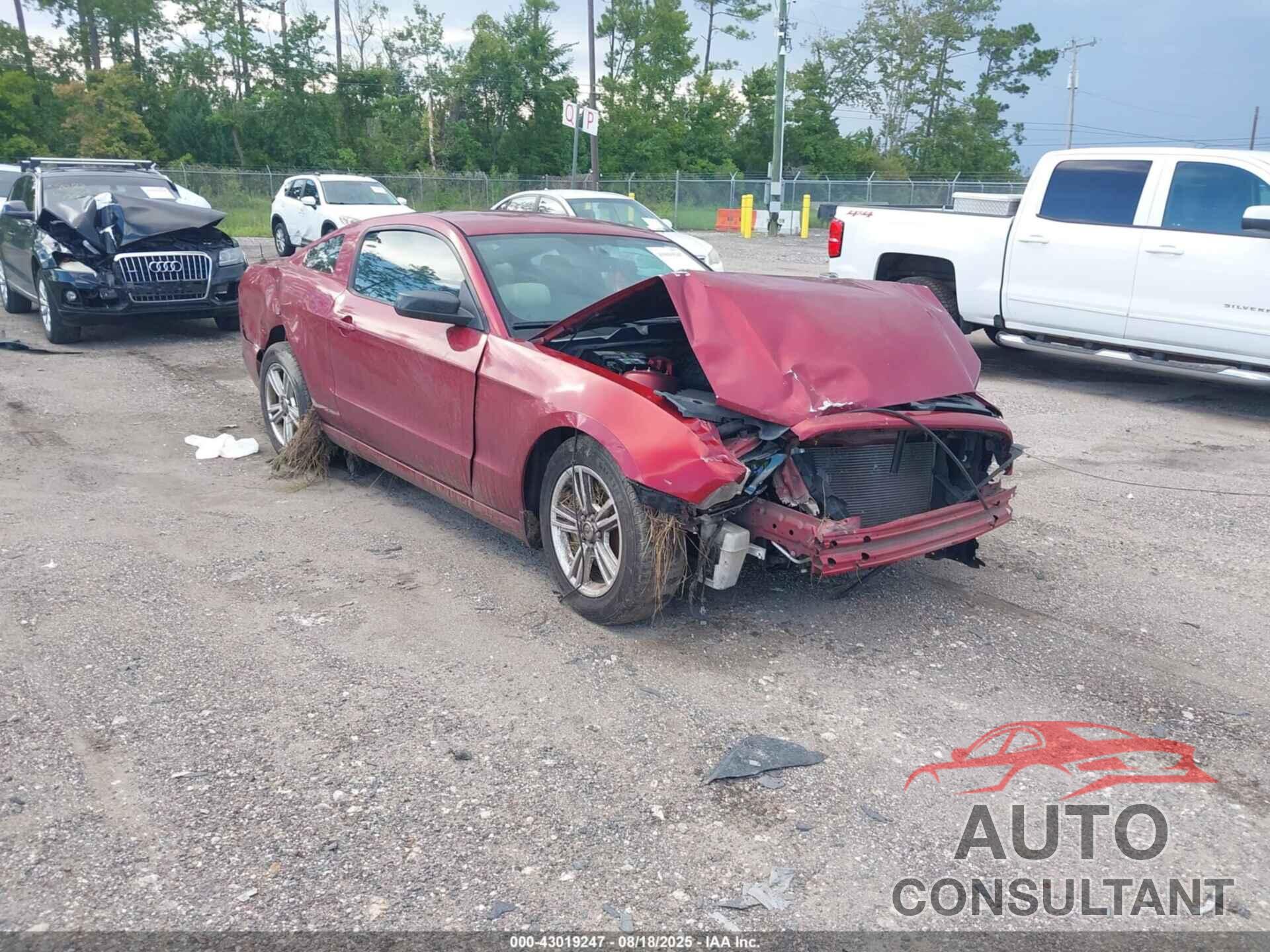 FORD MUSTANG 2014 - 1ZVBP8AM5E5211979