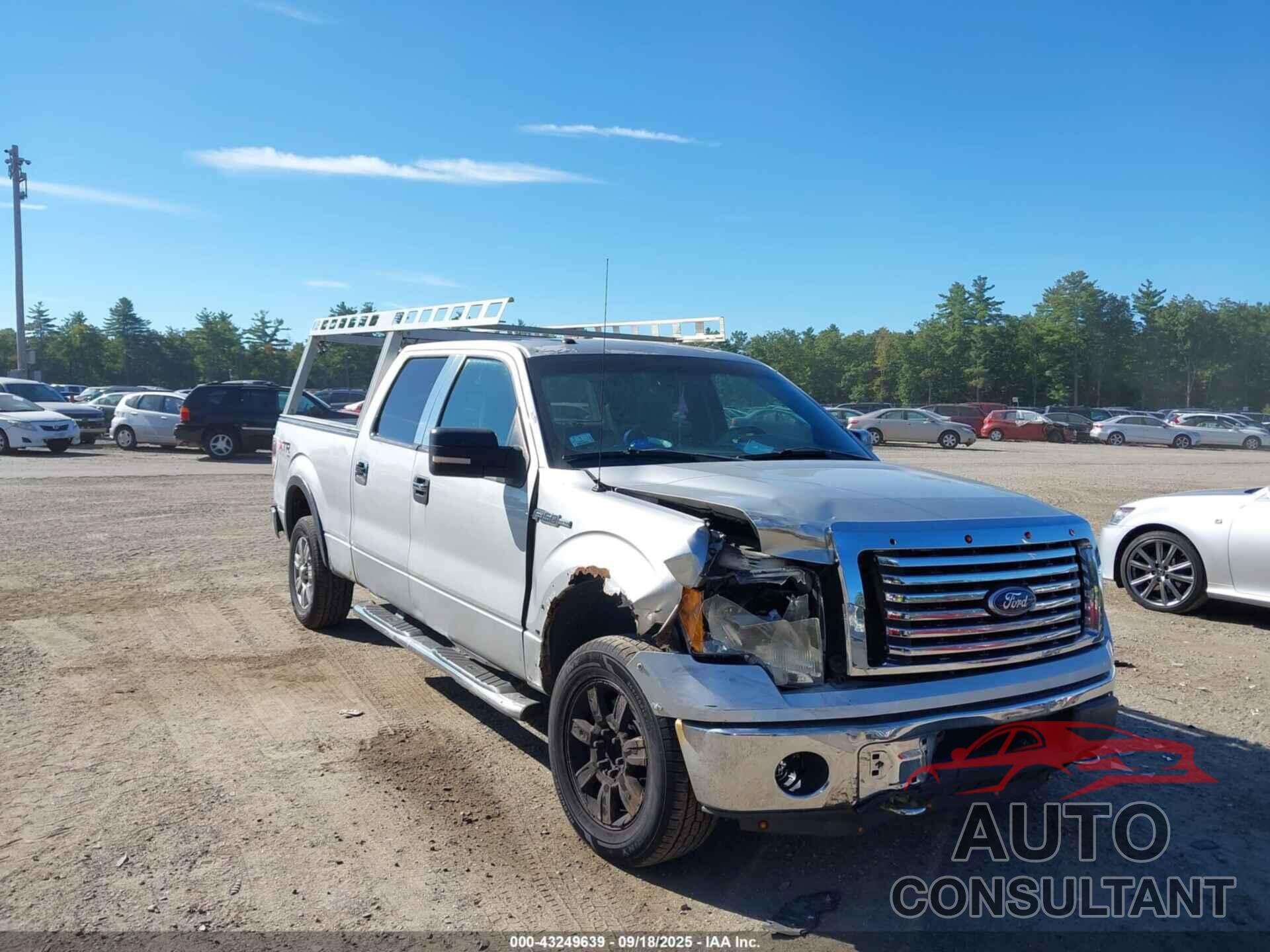FORD F-150 2010 - 1FTFW1EVXAFC86571
