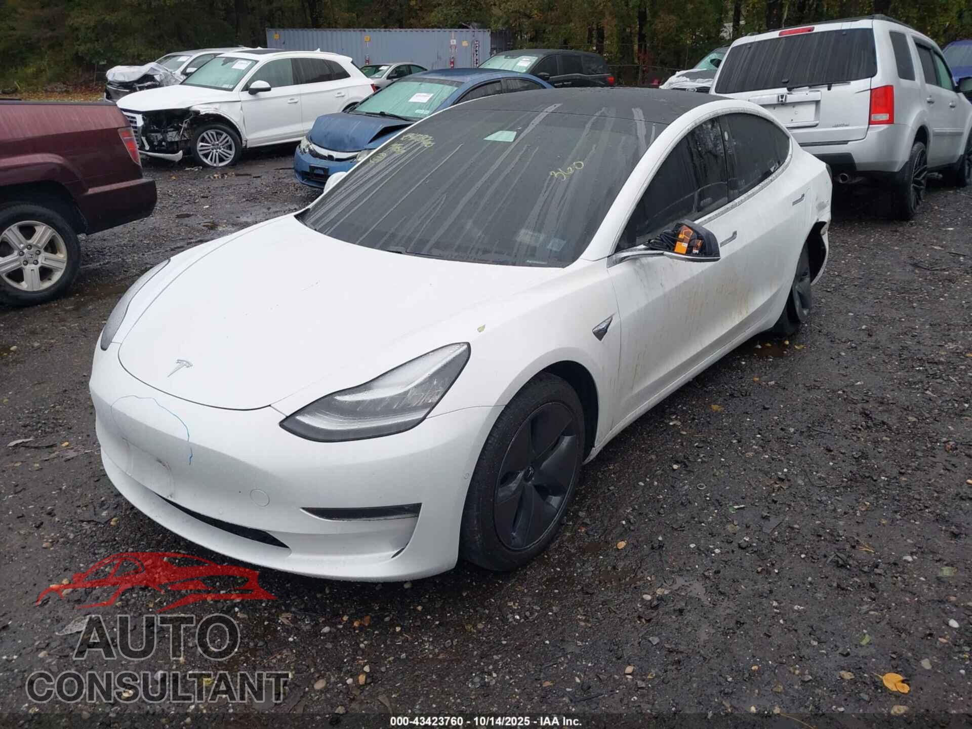 TESLA MODEL 3 2019 - 5YJ3E1EB2KF441860