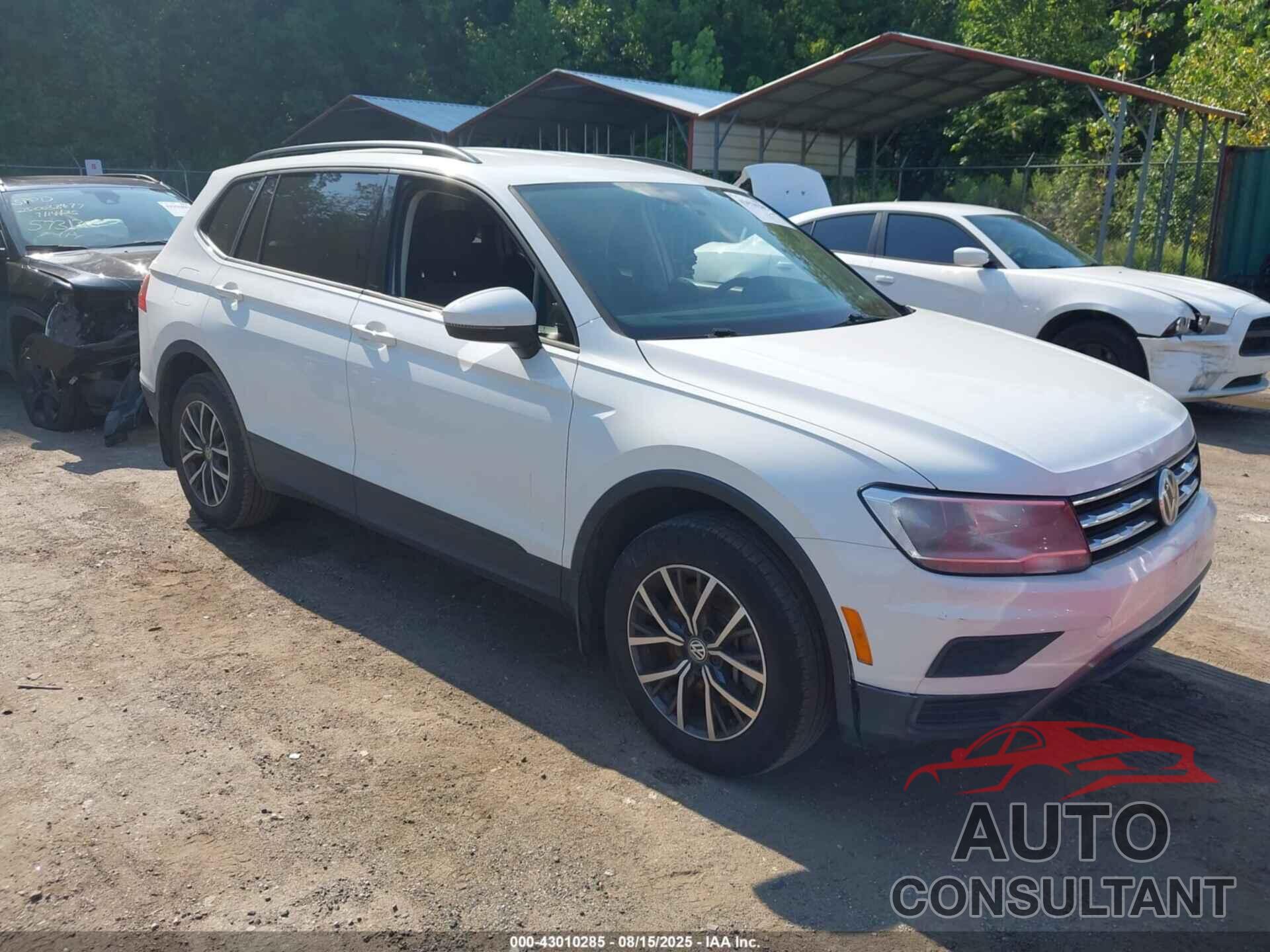 VOLKSWAGEN TIGUAN 2021 - 3VV0B7AXXMM019724