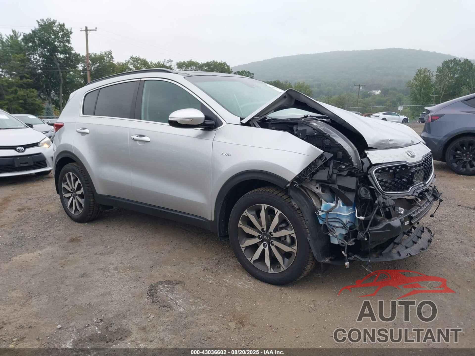 KIA SPORTAGE 2019 - KNDPNCAC1K7531633