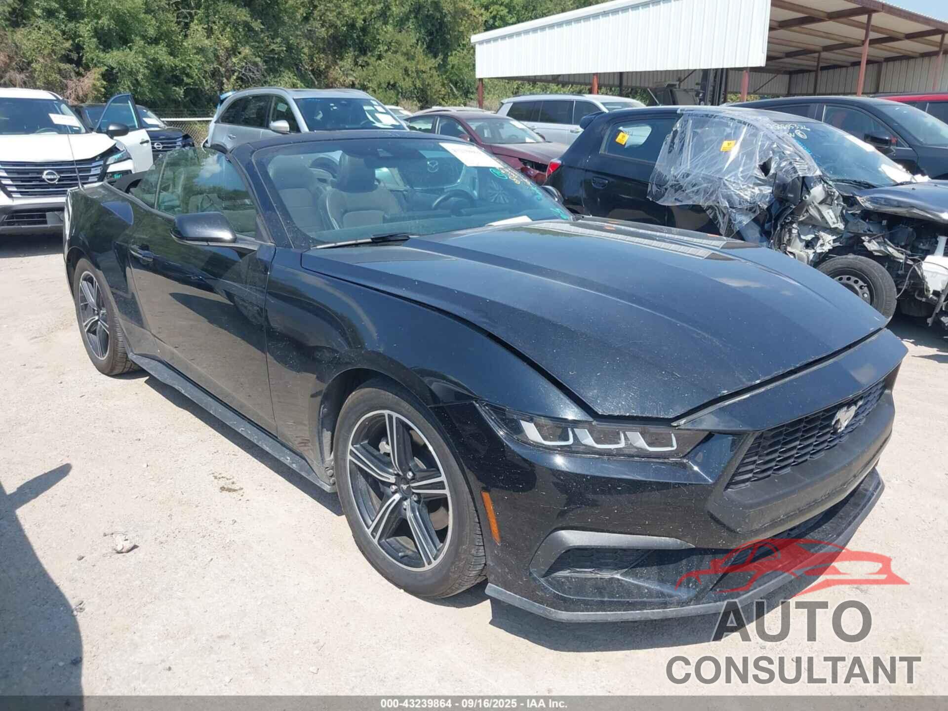 FORD MUSTANG 2024 - 1FAGP8UH0R5105961