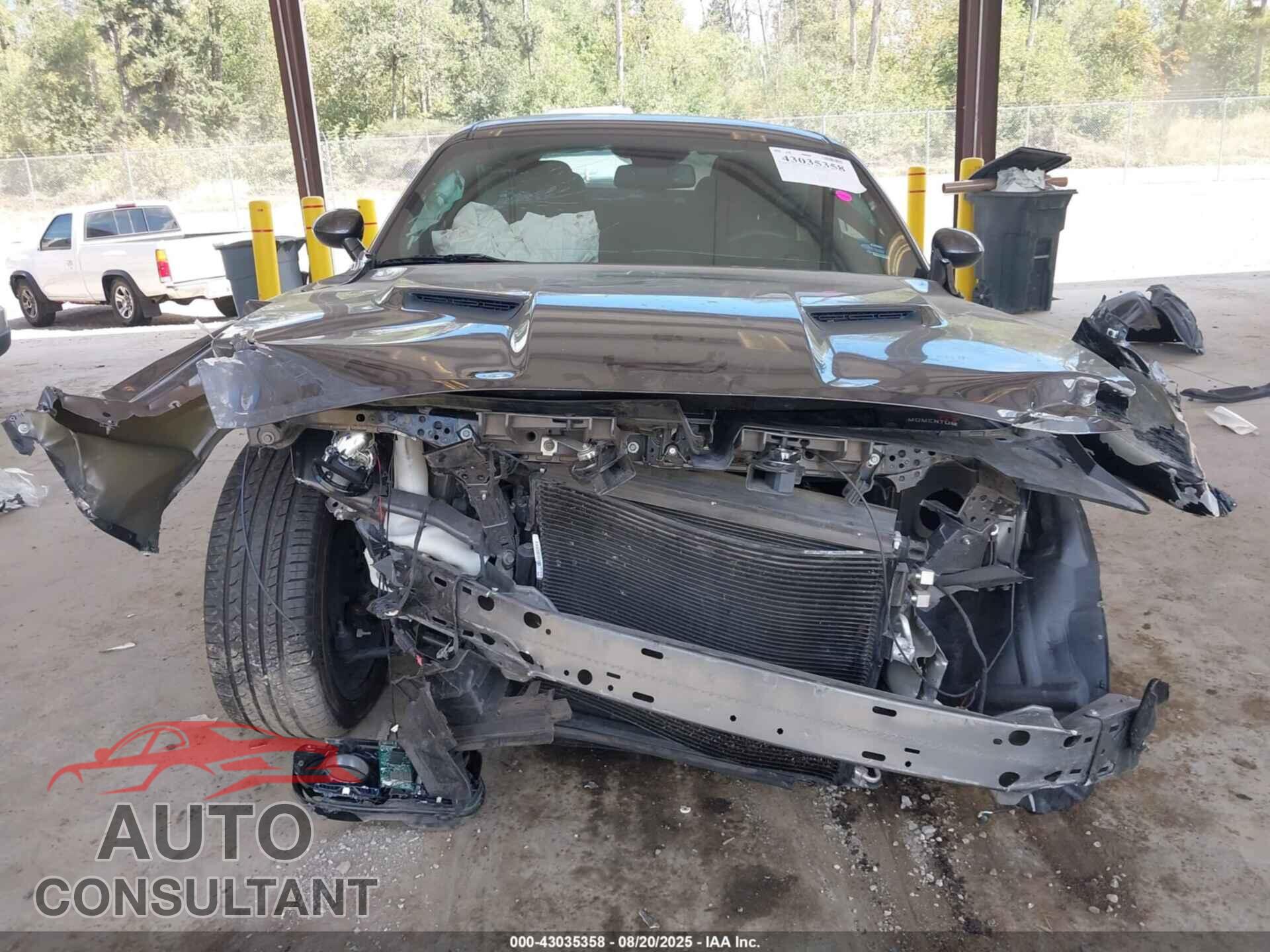DODGE CHALLENGER 2019 - 2C3CDZAG0KH636244