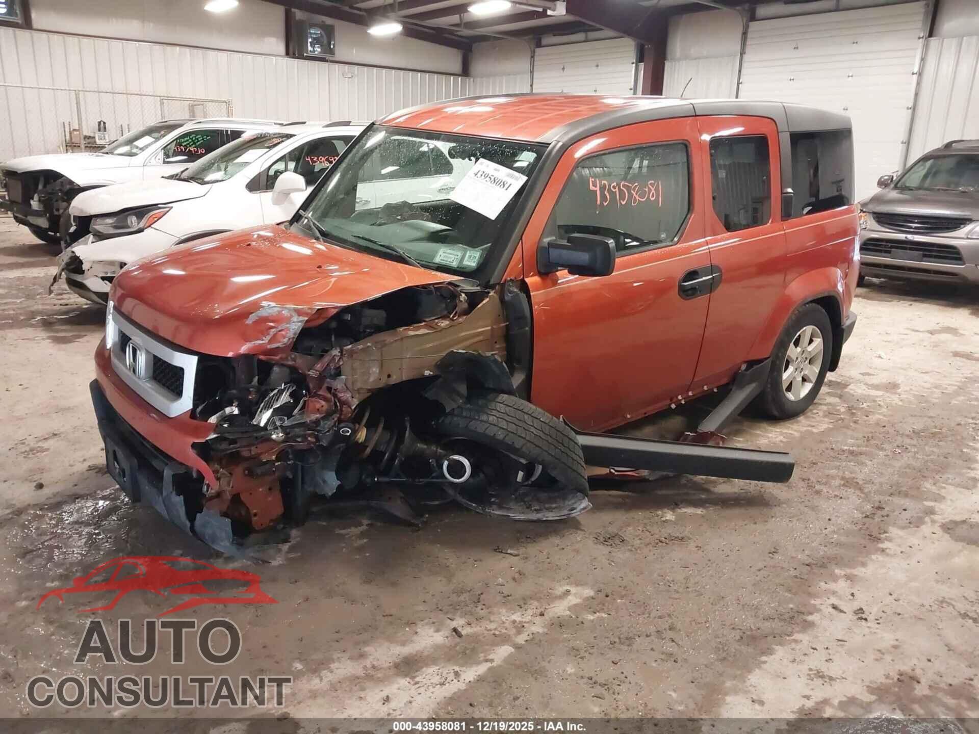 HONDA ELEMENT 2011 - 5J6YH2H75BL001312