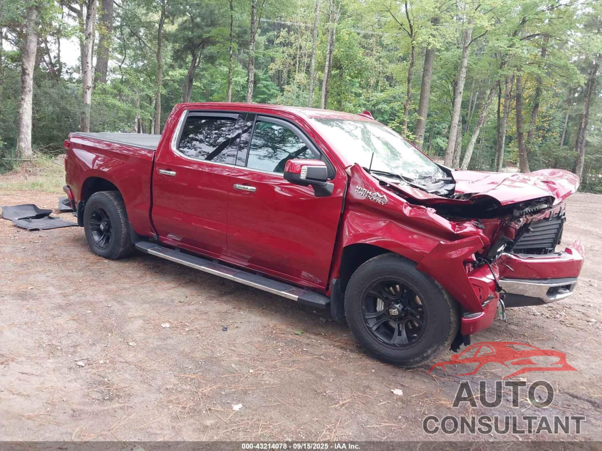 CHEVROLET SILVERADO 1500 2019 - 3GCUYHED8KG305443