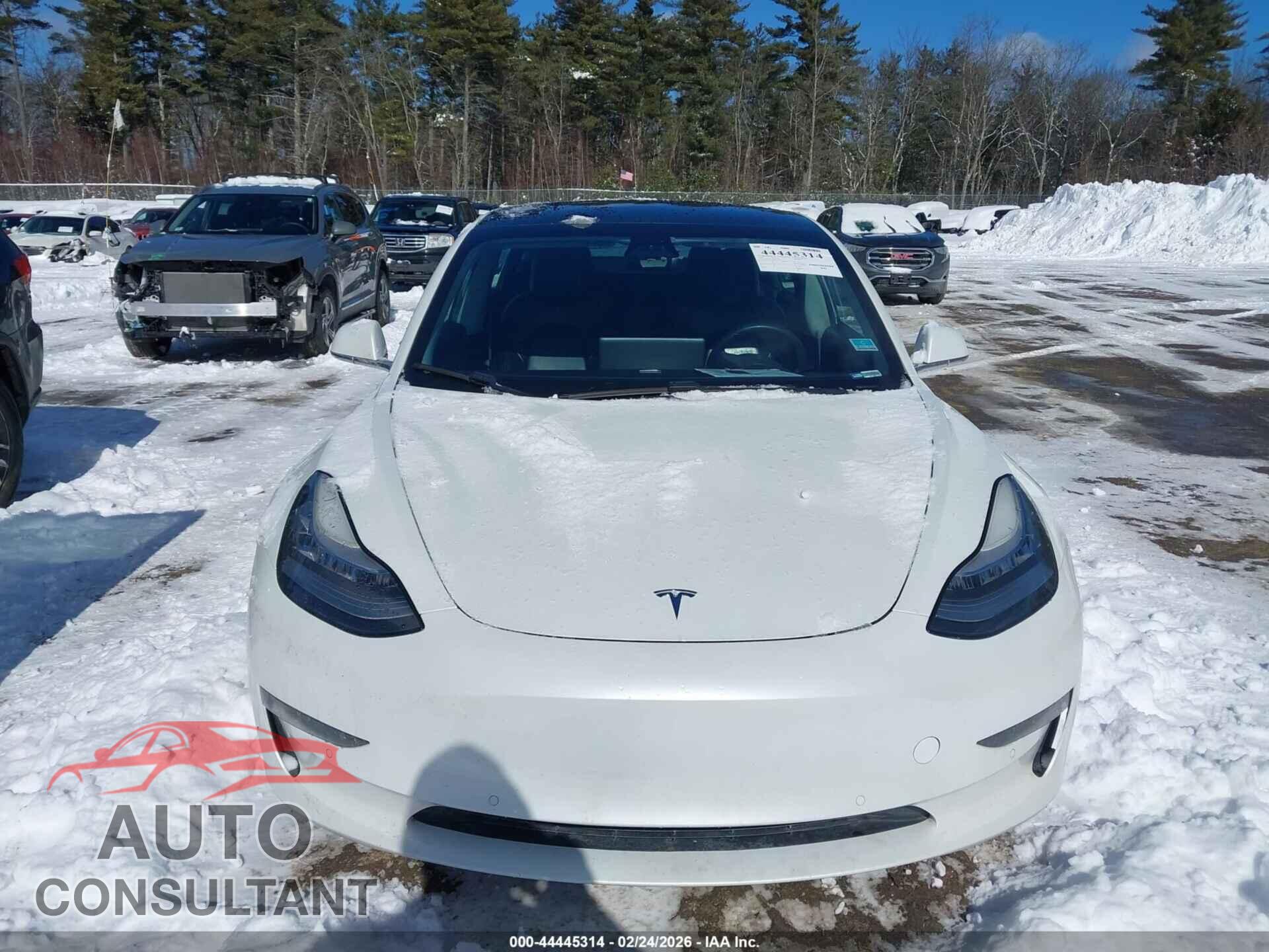 TESLA MODEL 3 2020 - 5YJ3E1EA3LF613497