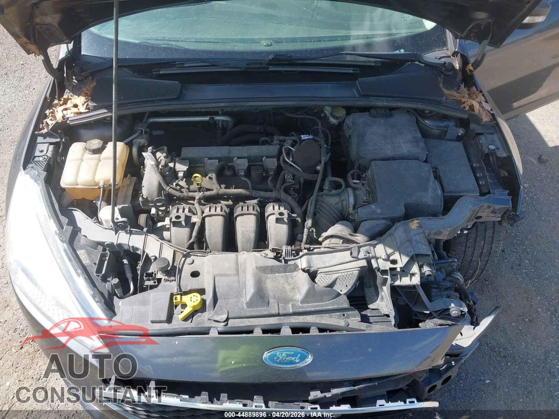 FORD FOCUS 2016 - 1FADP3F21GL202304