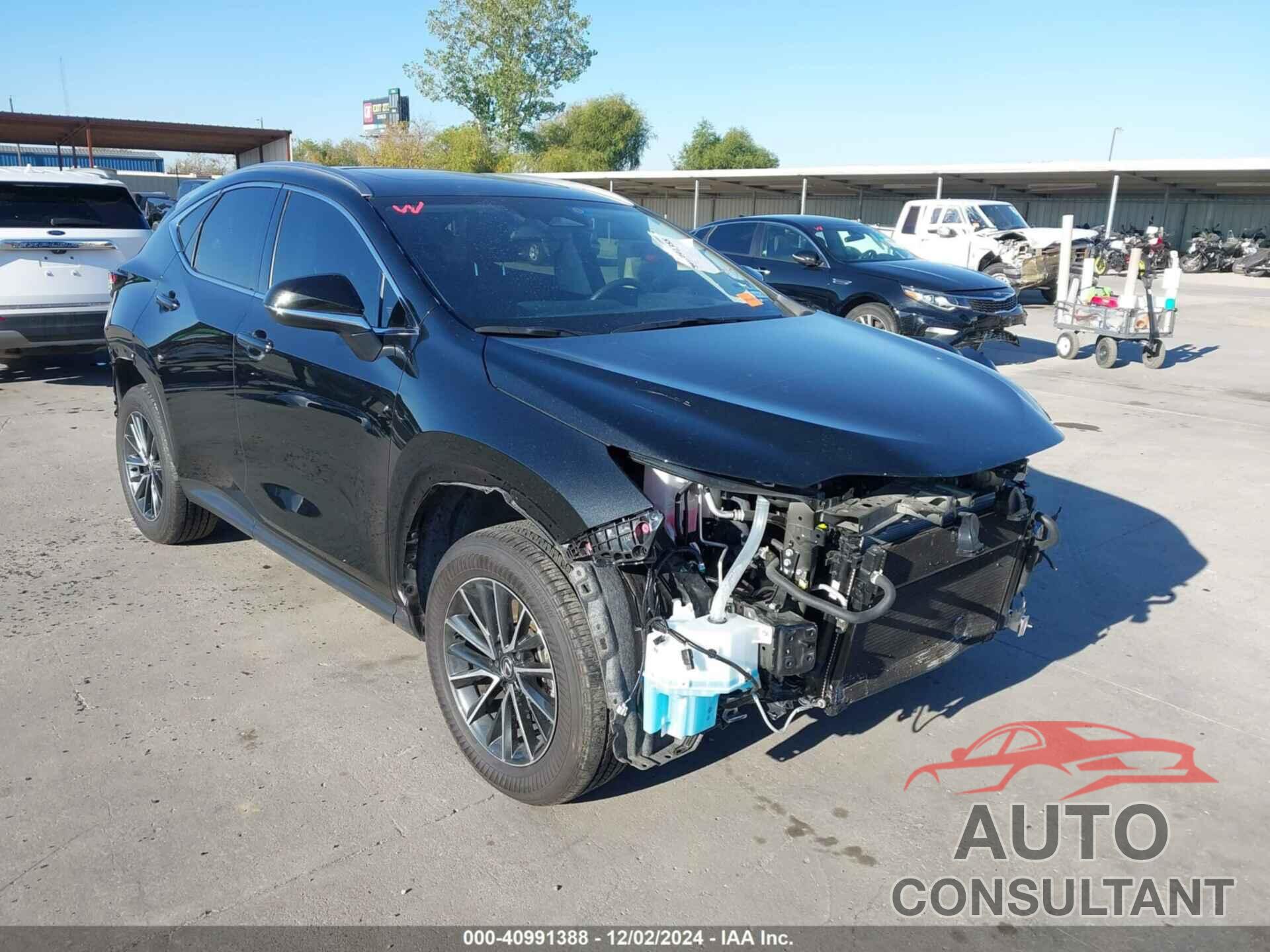 LEXUS NX 350H 2024 - JTJGKCEZXR2028274