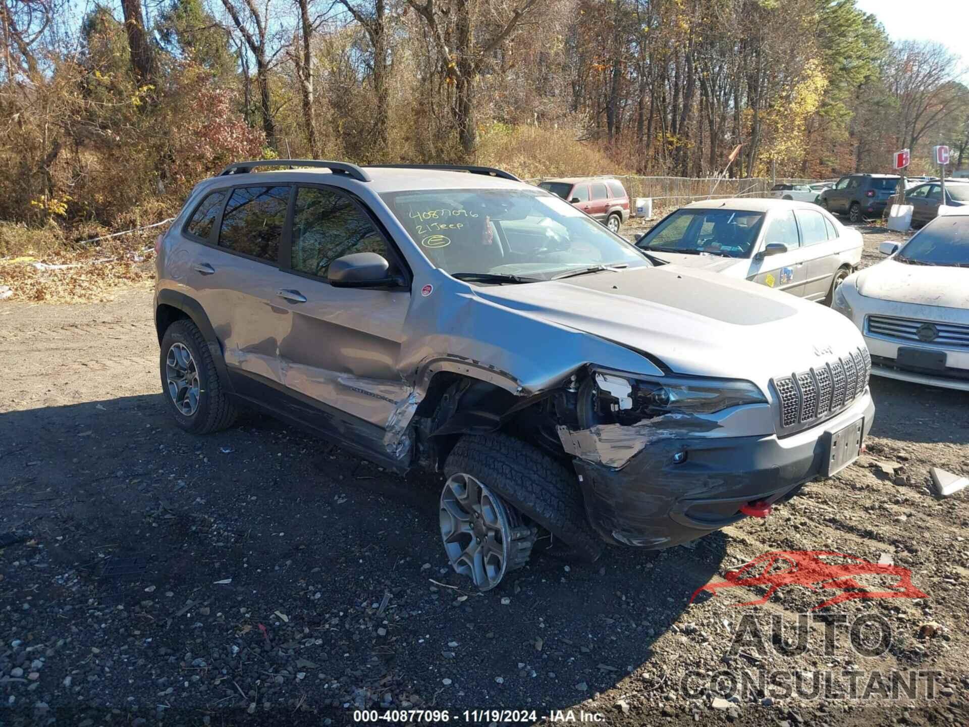 JEEP CHEROKEE 2021 - 1C4PJMBX1MD252867