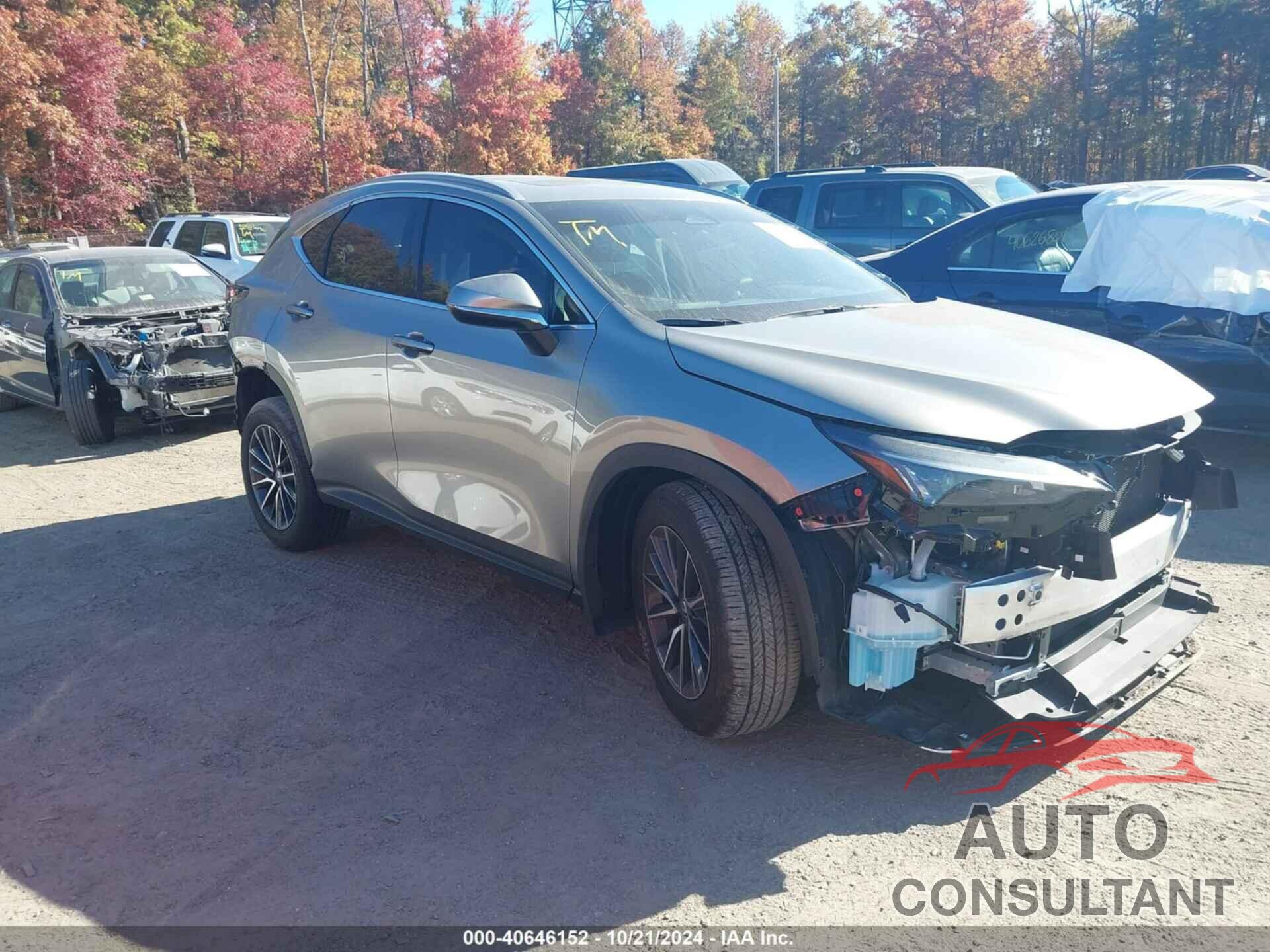 LEXUS NX 350 2024 - 2T2AGCEZ3RC045926