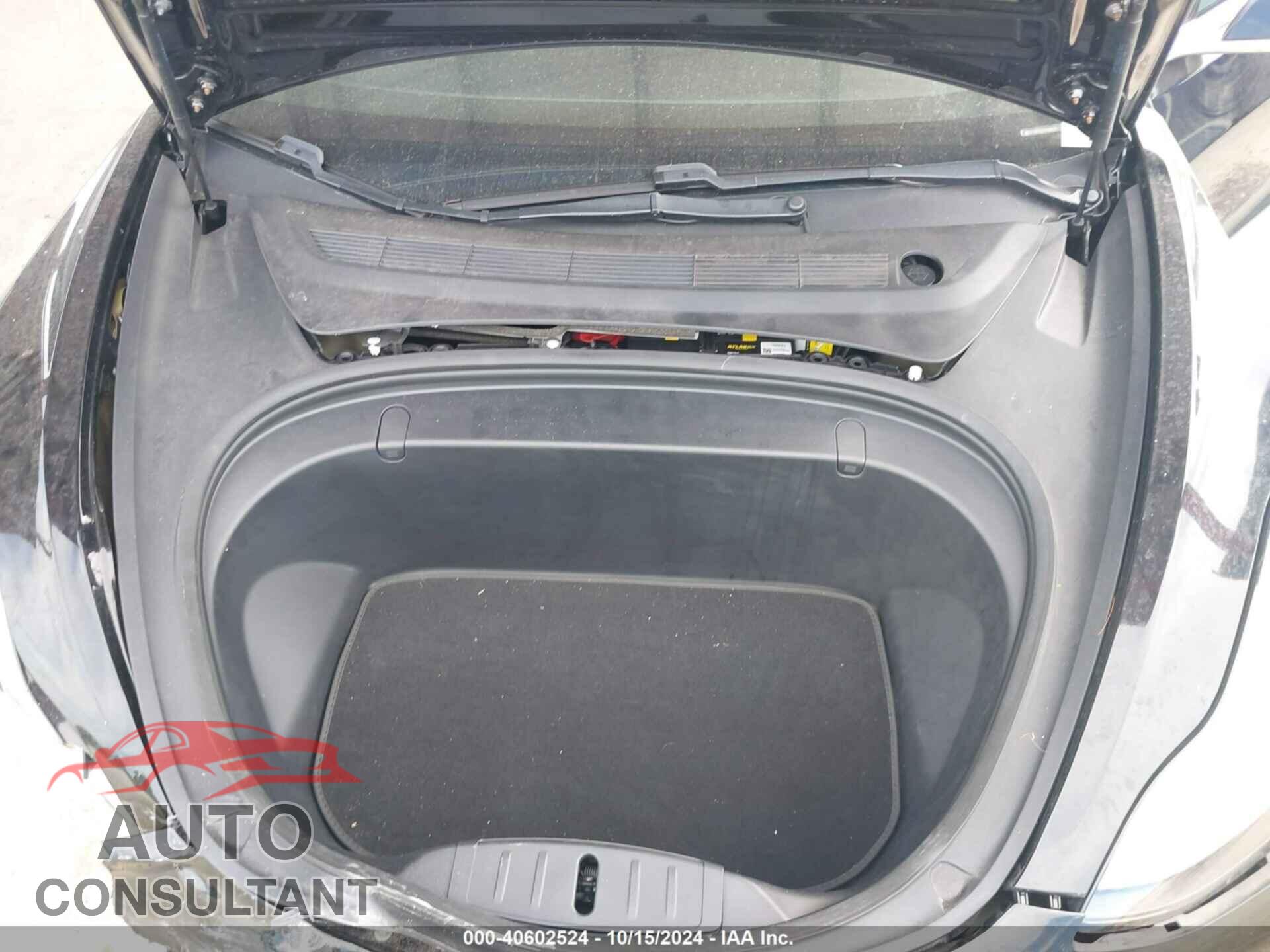 TESLA MODEL 3 2019 - 5YJ3E1EB2KF455015