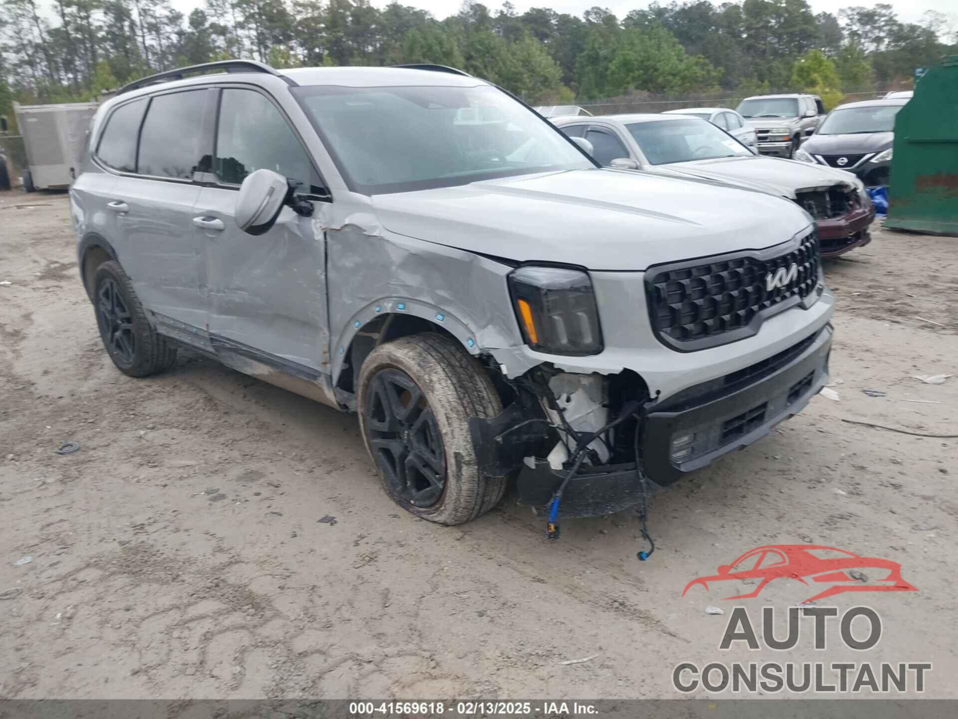 KIA TELLURIDE 2024 - 5XYP5DGC4RG557203