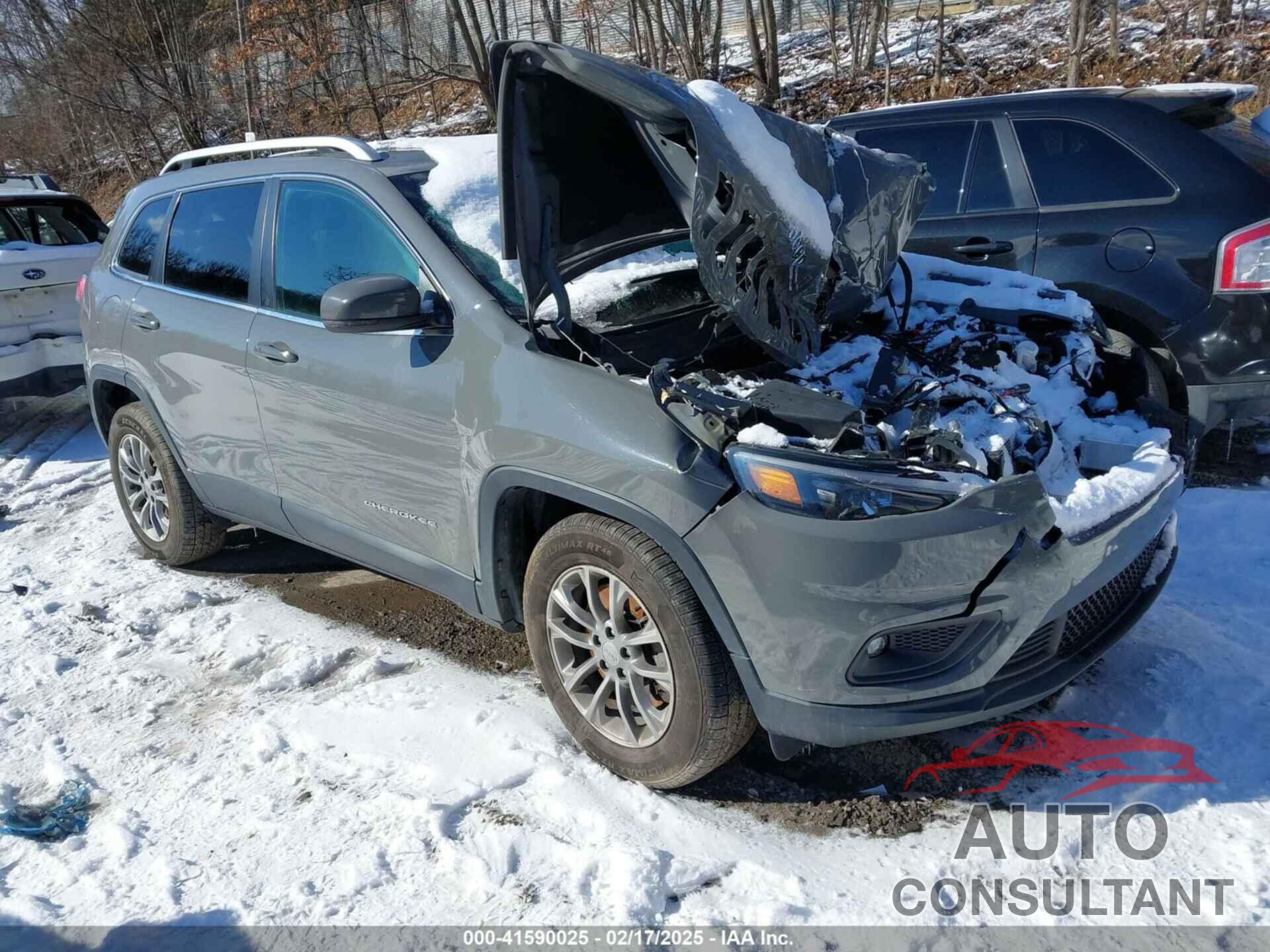 JEEP CHEROKEE 2019 - 1C4PJMLB9KD469308