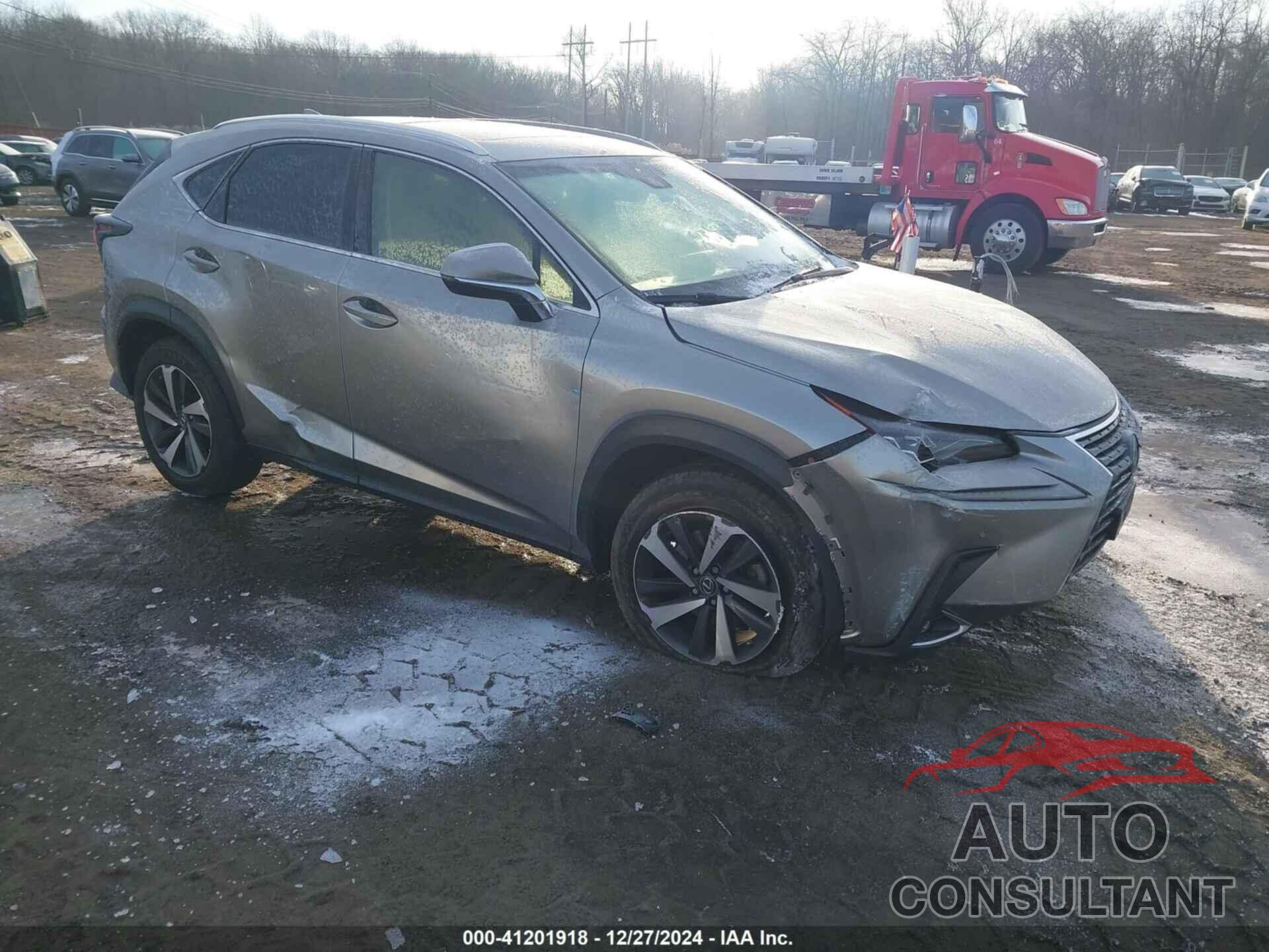 LEXUS NX 300 2019 - JTJBARBZ7K2189353