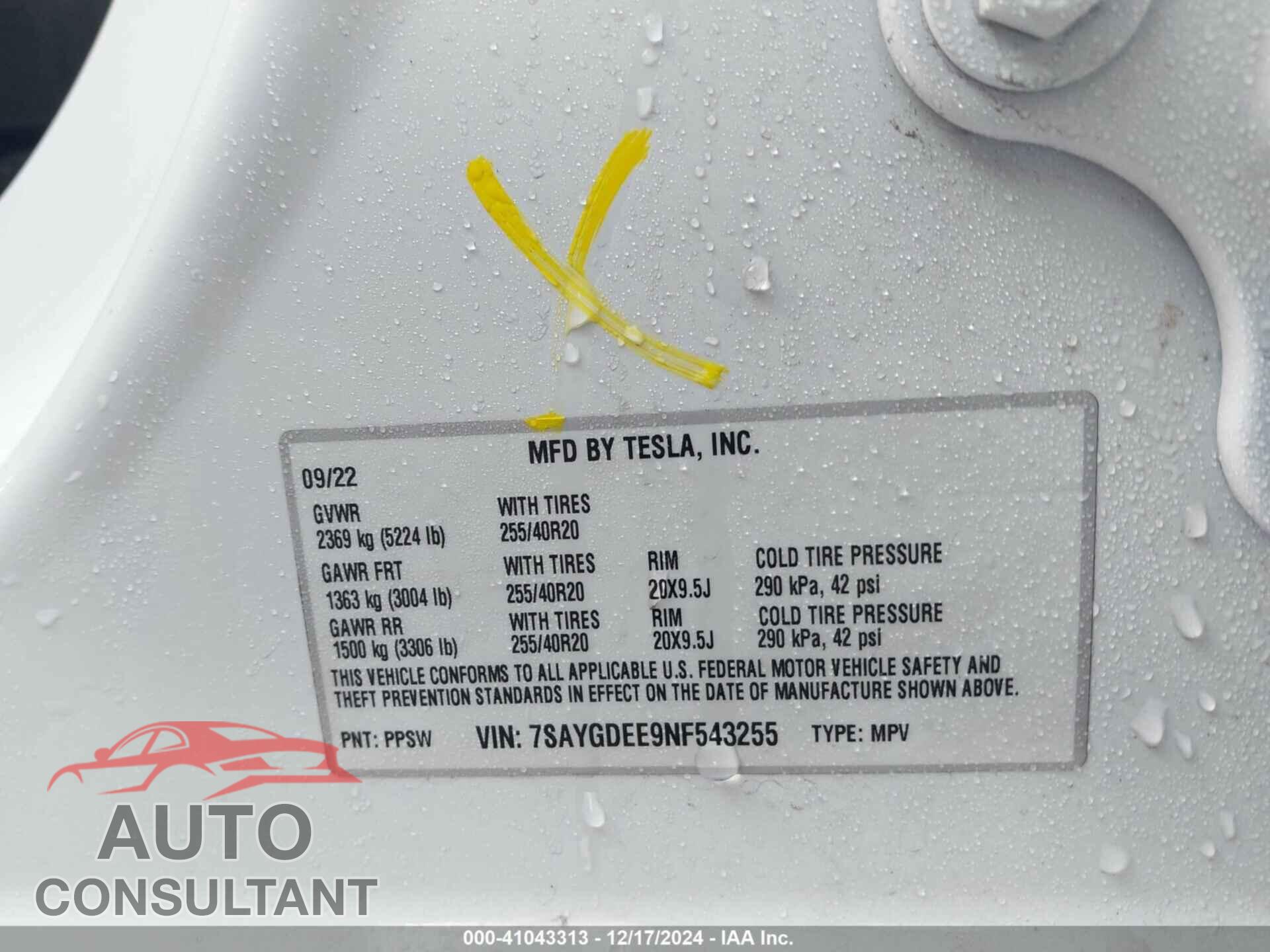TESLA MODEL Y 2022 - 7SAYGDEE9NF543255