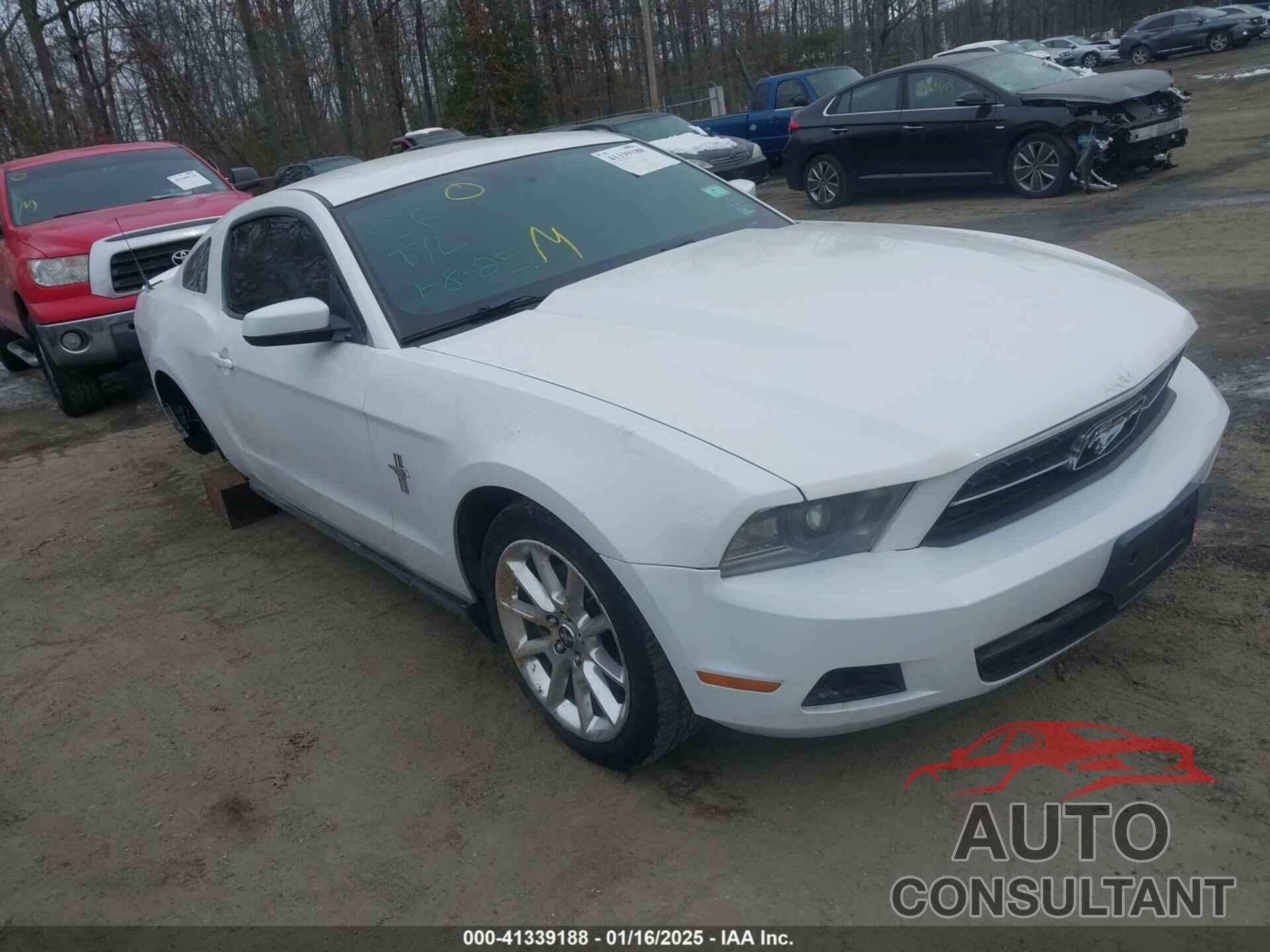 FORD MUSTANG 2011 - 1ZVBP8AM7B5139937
