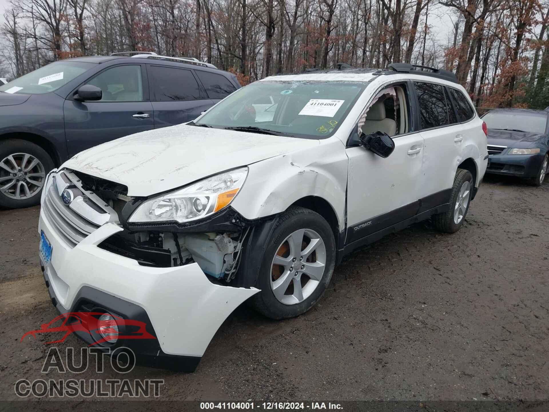 SUBARU OUTBACK 2014 - 4S4BRBFC3E3309118